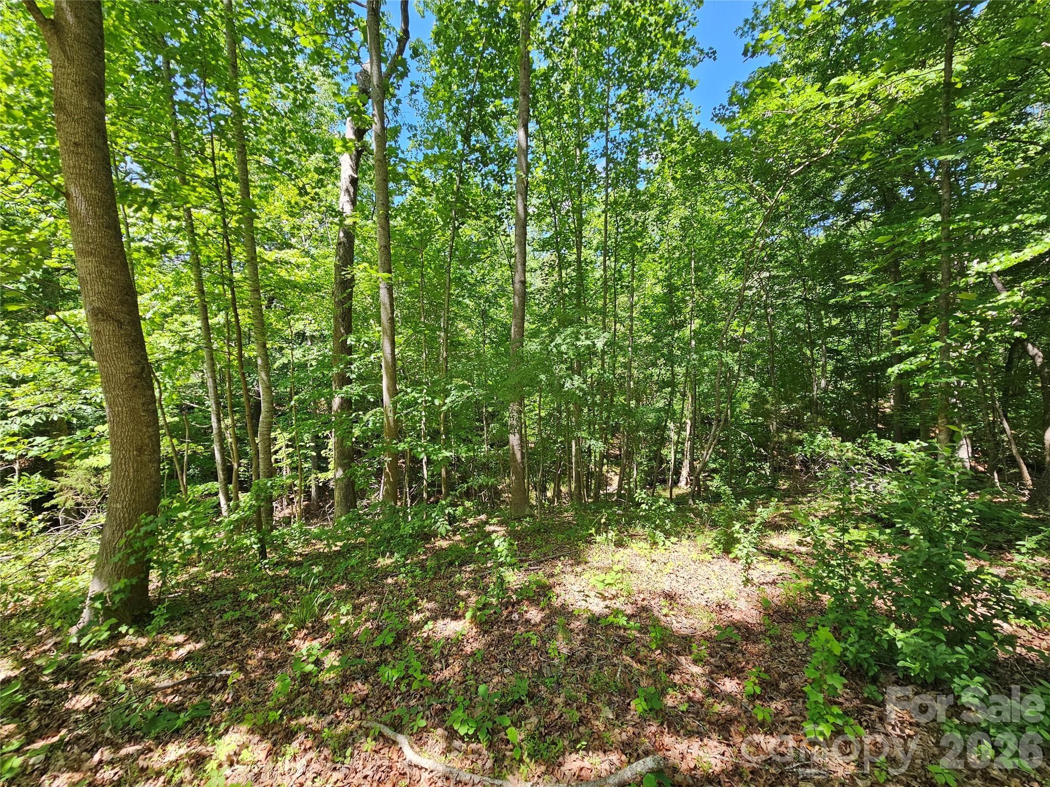 5692 Brooklyn Road — Great Falls