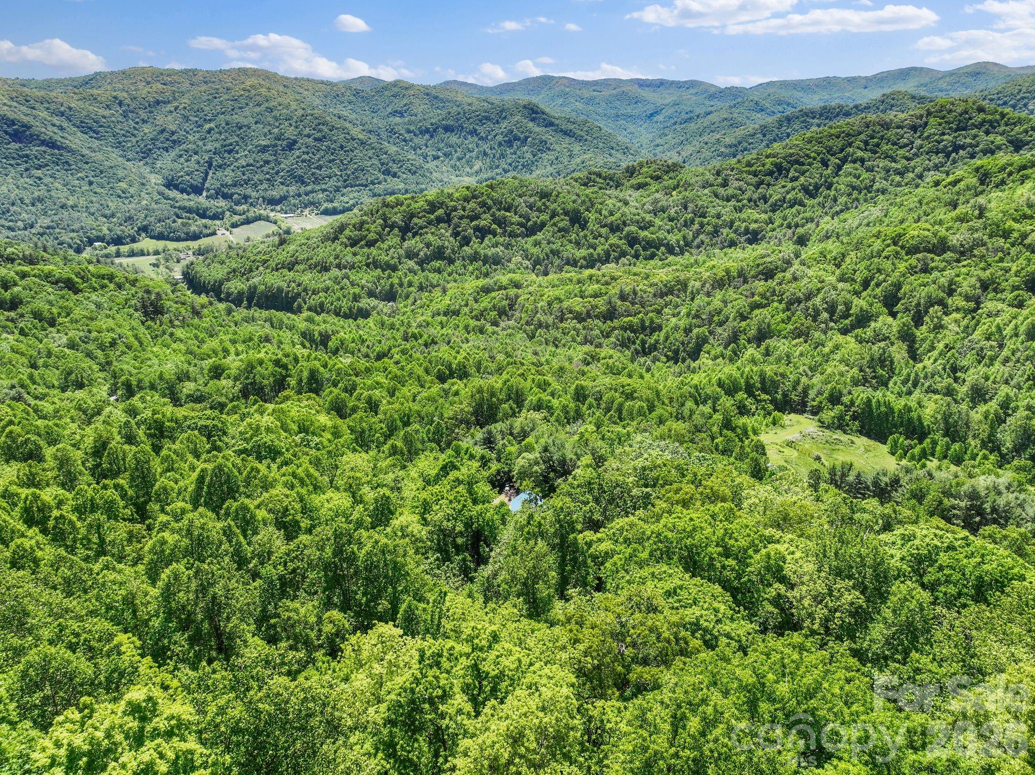 1206 Caldwell Mountain Road — Hot Springs
