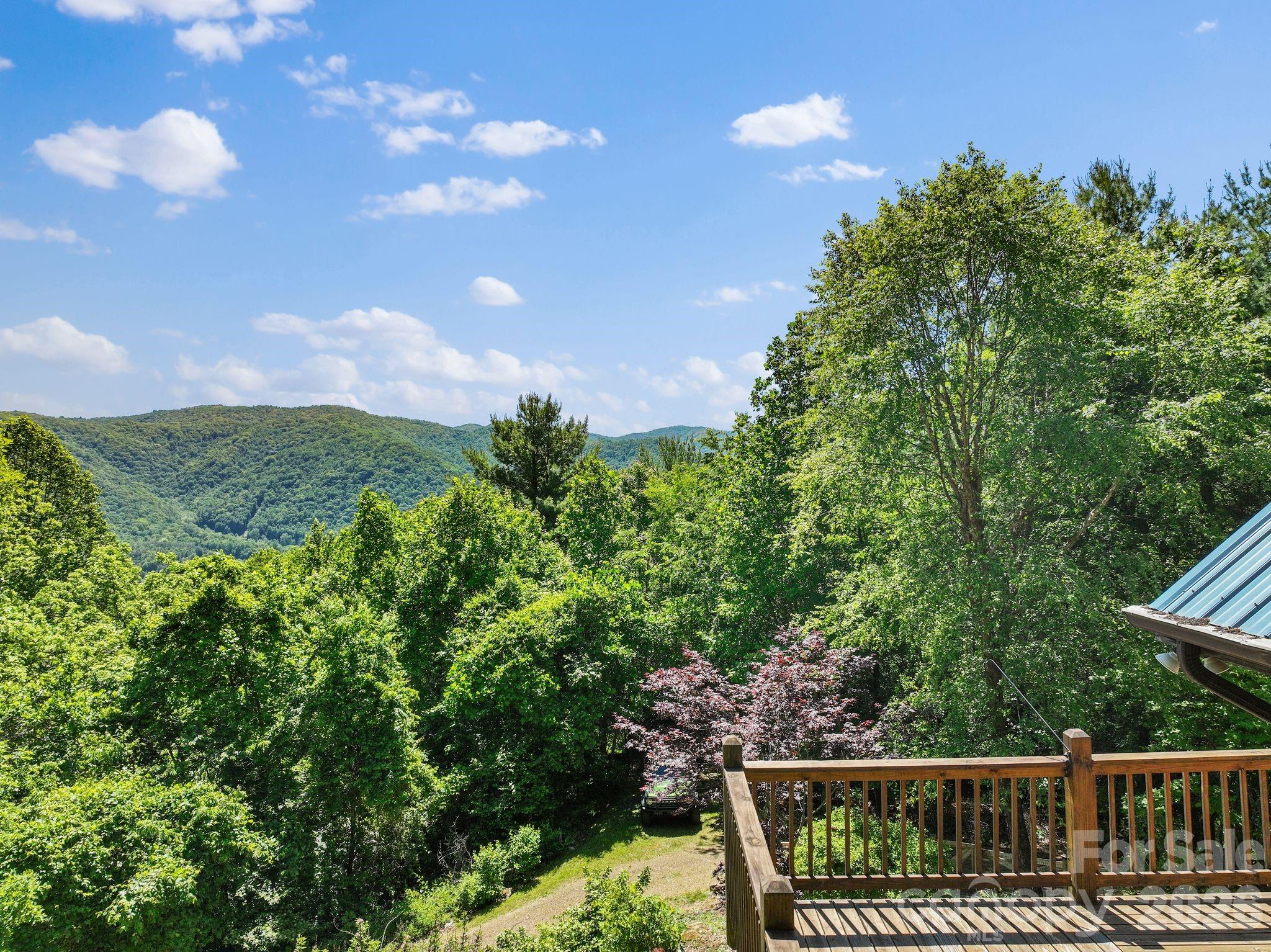 1206 Caldwell Mountain Road — Hot Springs