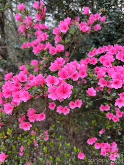 138 Woods End Road — Rutherfordton