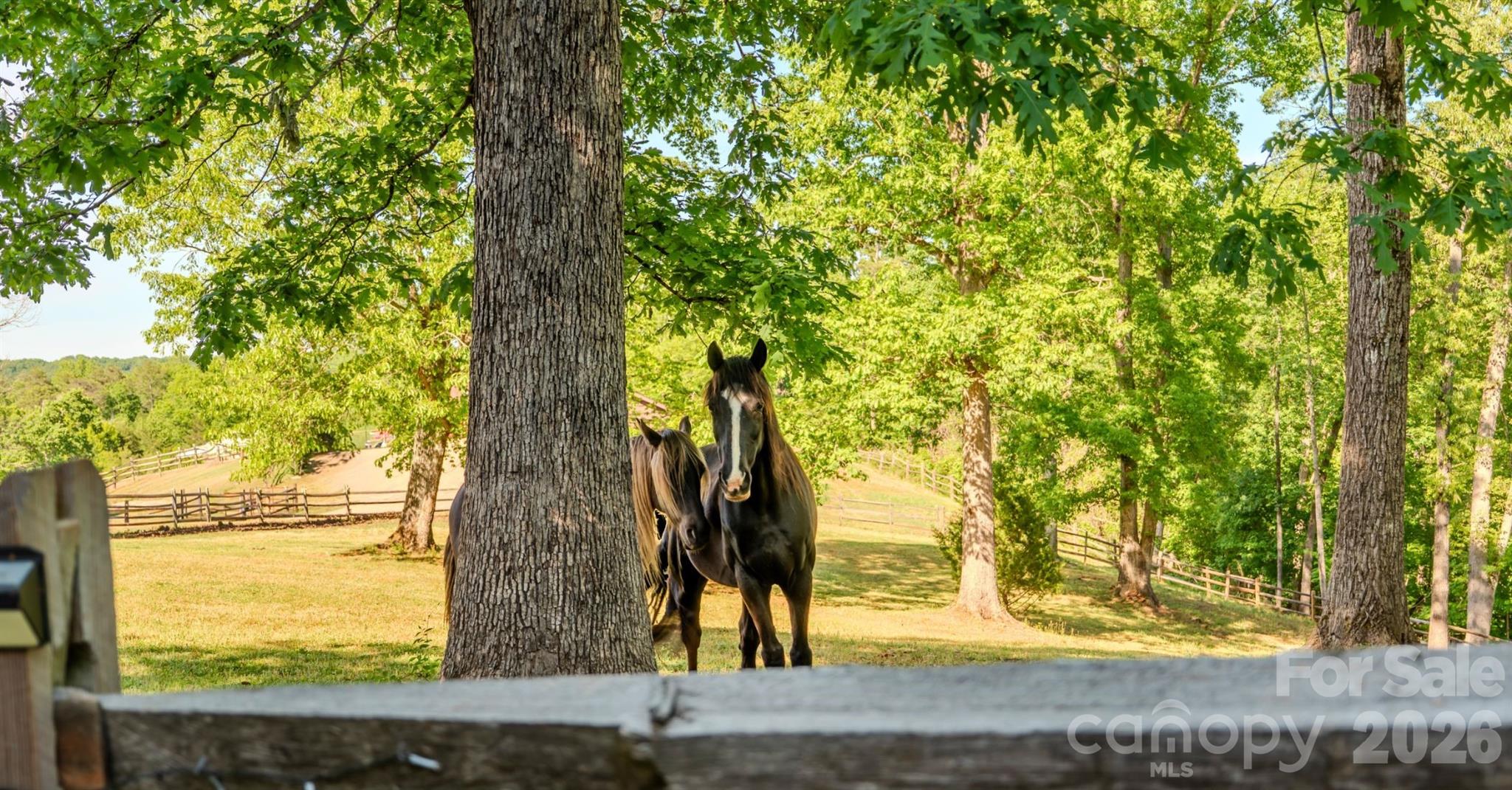 777 S River Road — Tryon