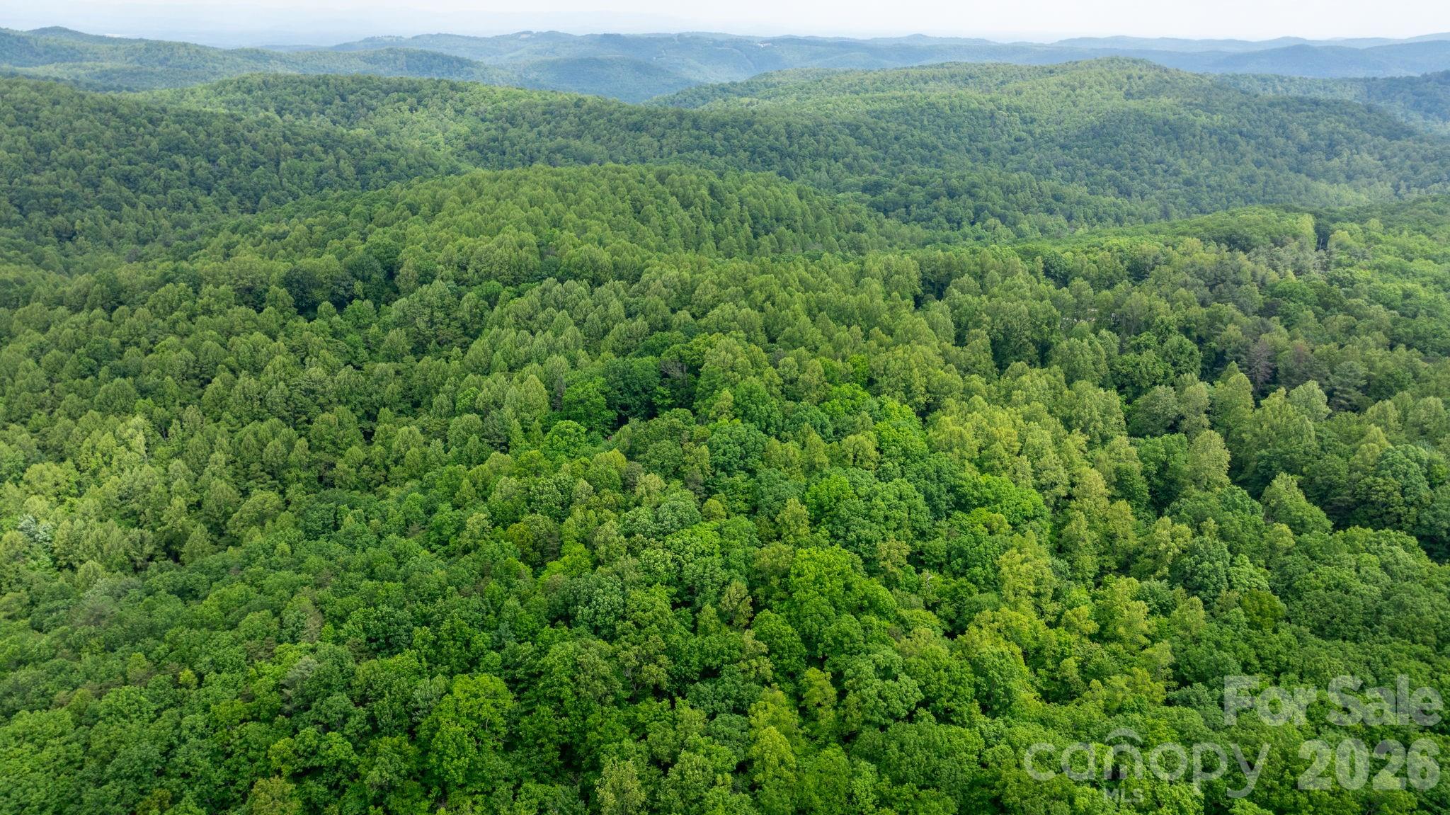 3494 Vannoy Ridge Road — Moravian Falls