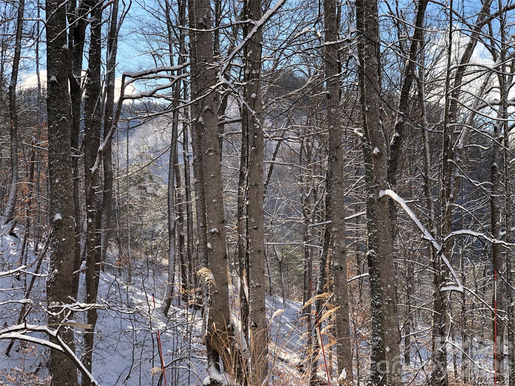 55 Sugar Hill Drive — Weaverville