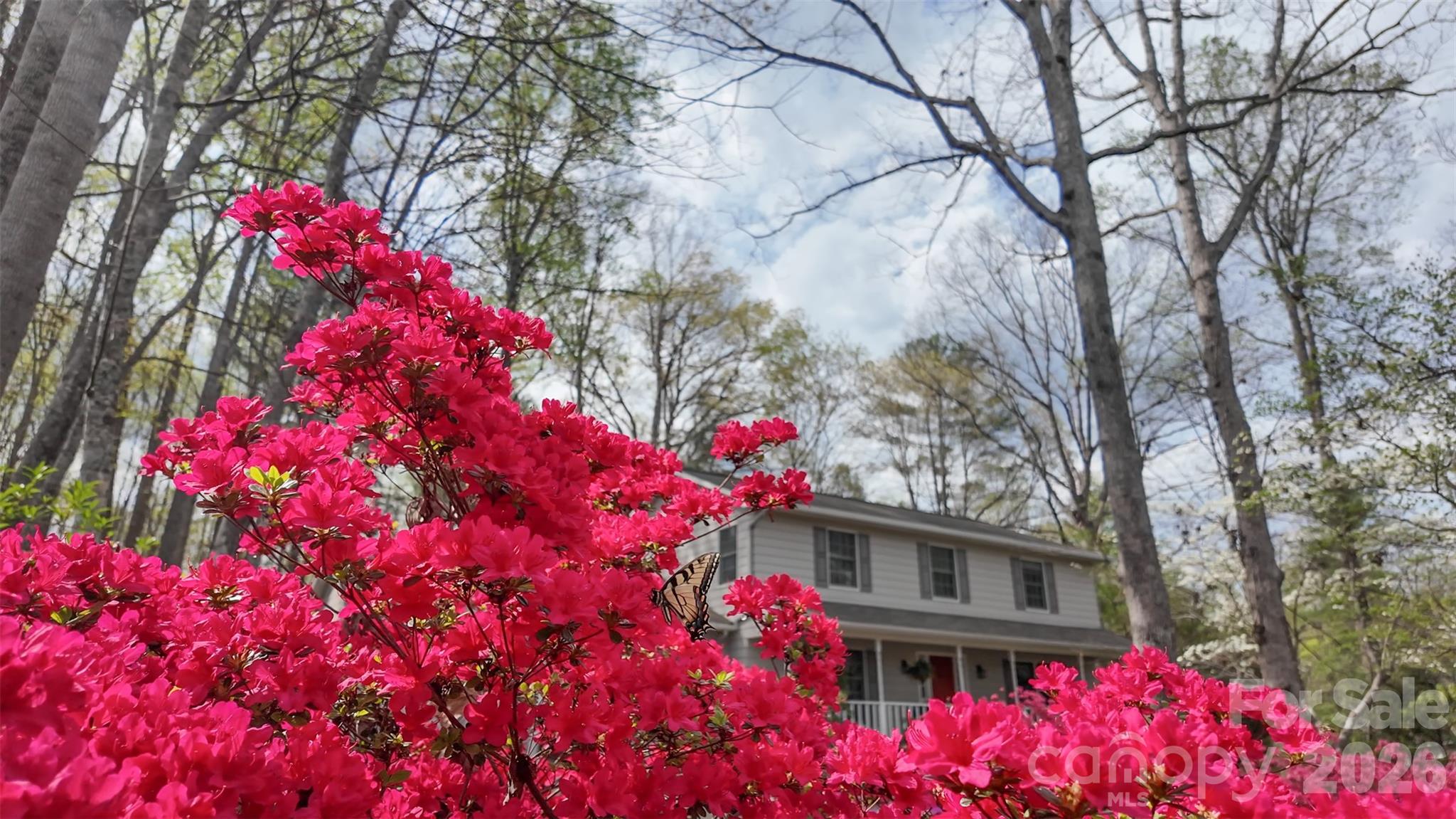 105 Horse Shoe Lane — Morganton