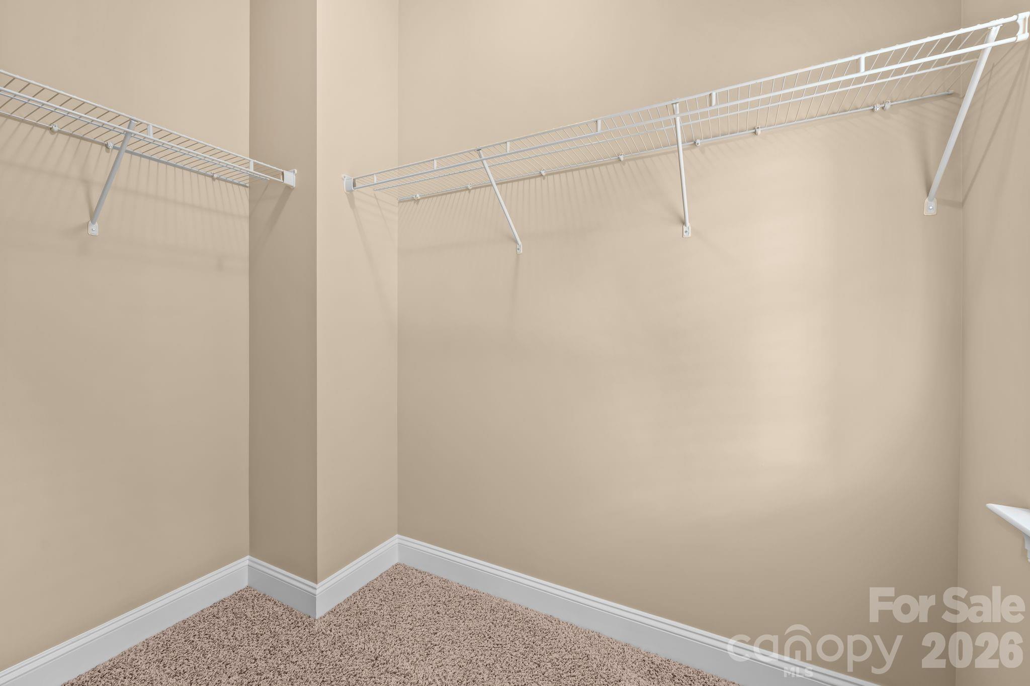 333 Calming Way #83 — Tega Cay