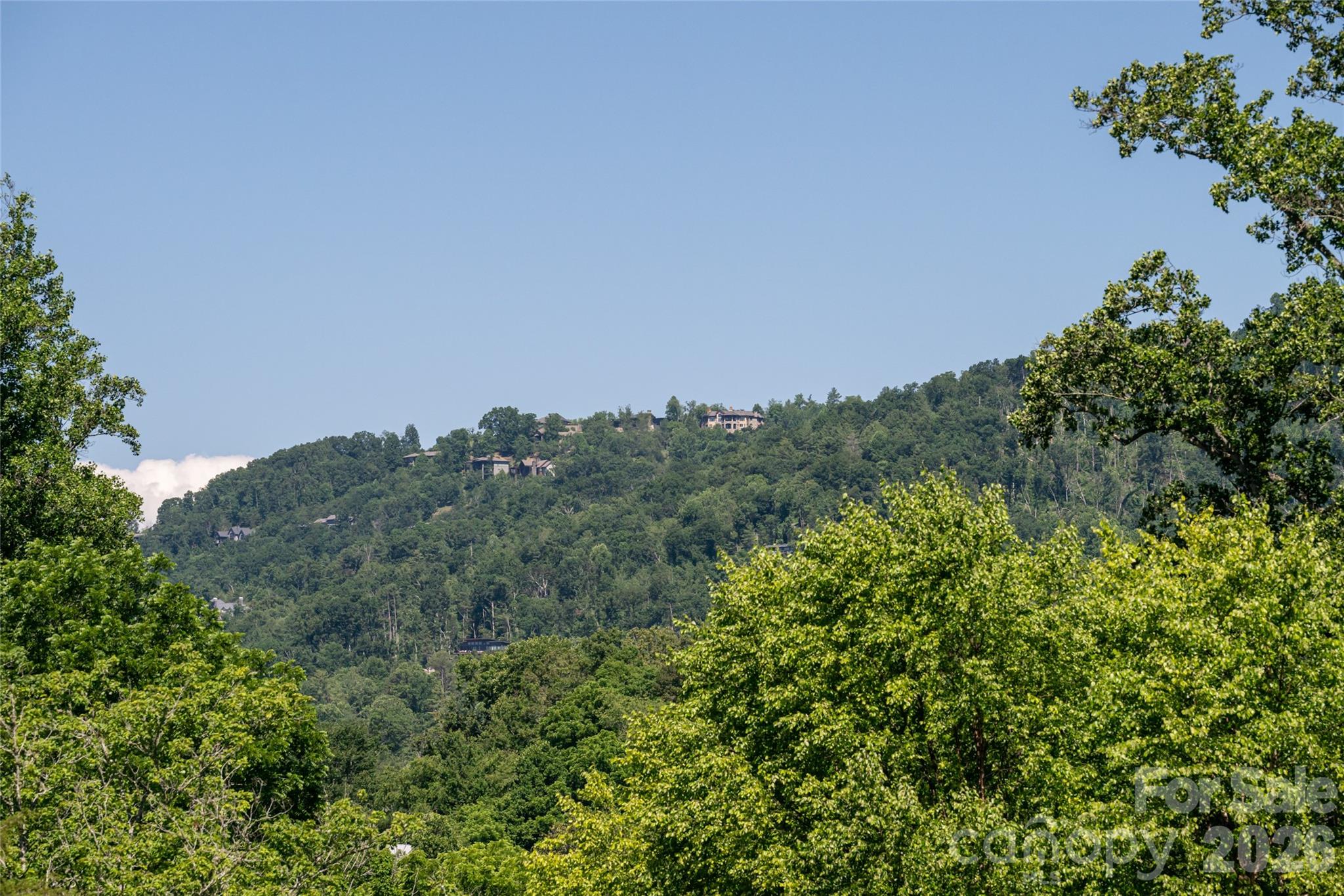19 Sycamore Street — Asheville