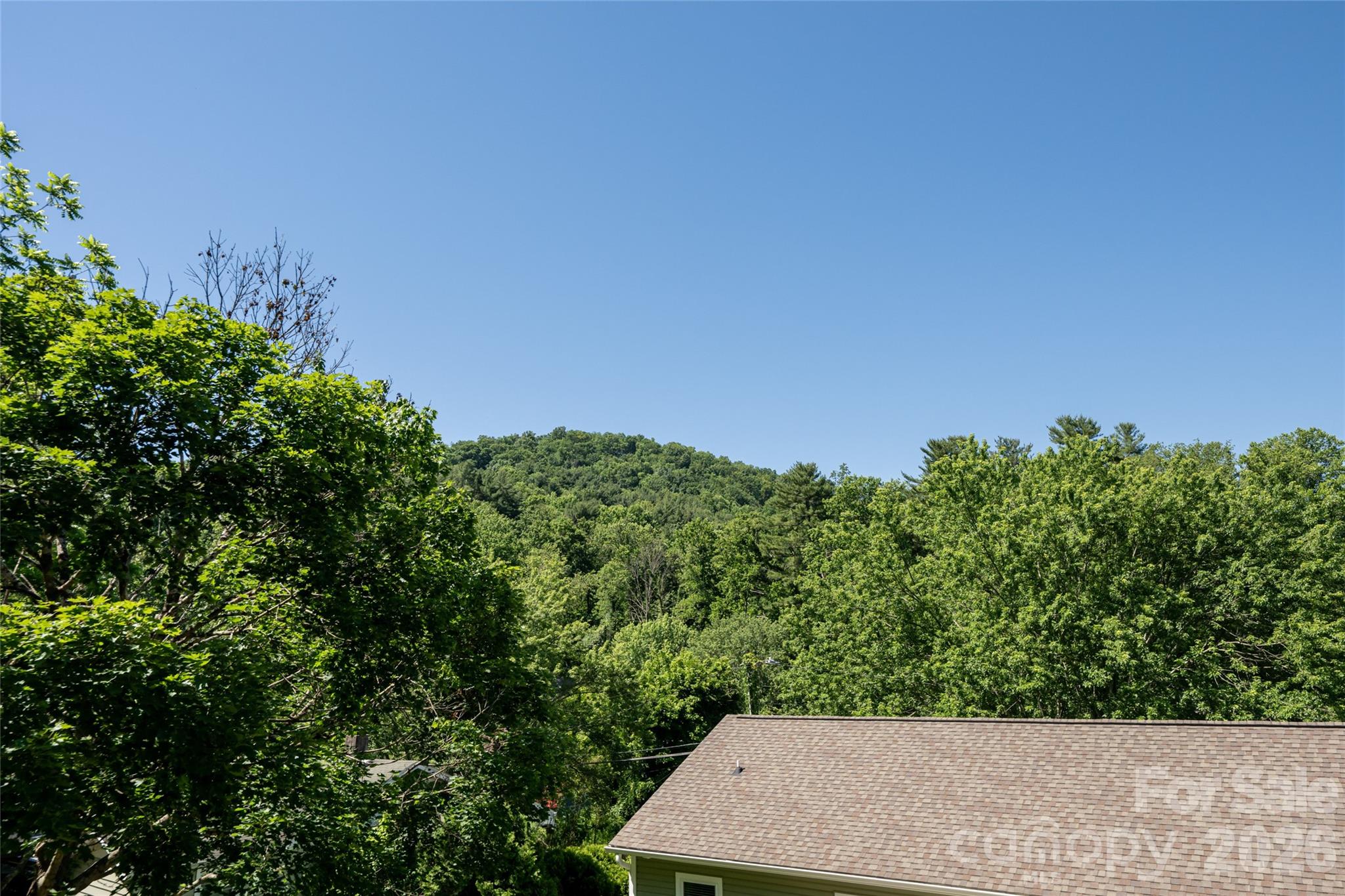 19 Sycamore Street — Asheville