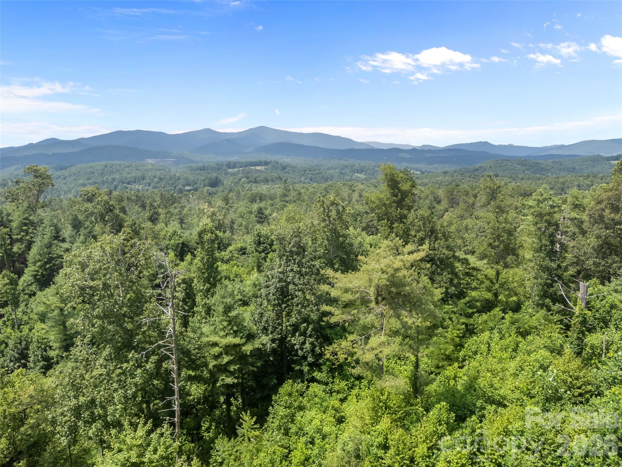 1305 Halltown Road — Spruce Pine