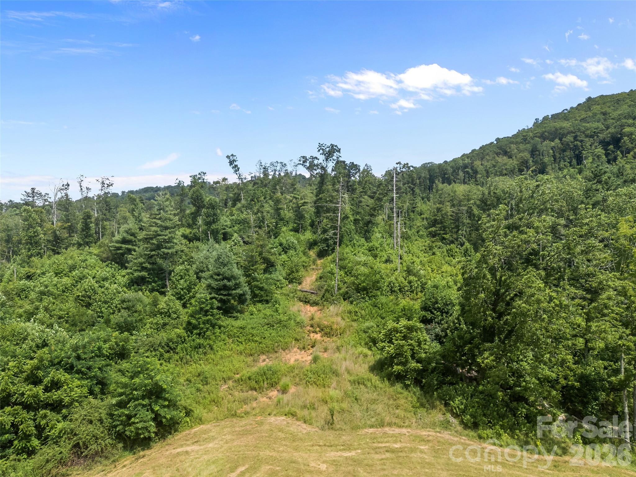 1305 Halltown Road — Spruce Pine