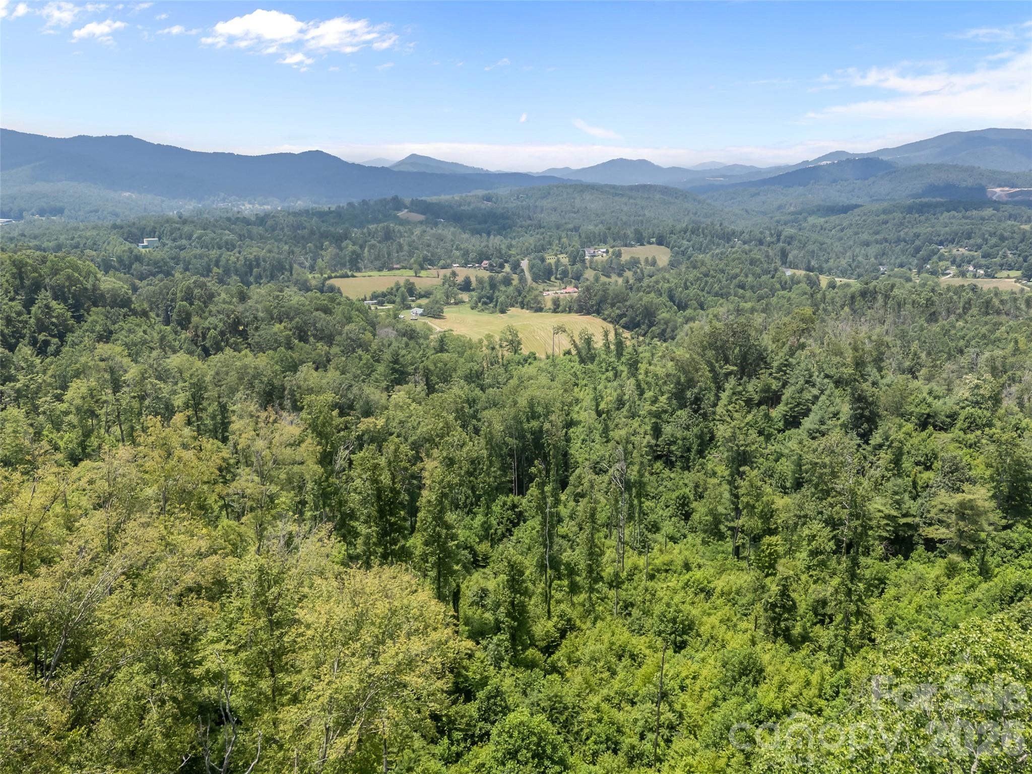 1305 Halltown Road — Spruce Pine