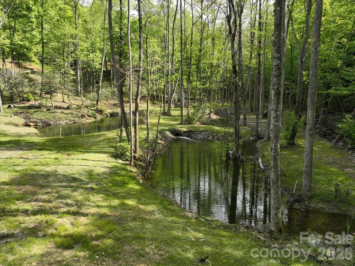 183 Mayfly Court — Spruce Pine