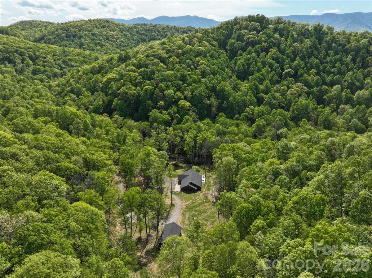 183 Mayfly Court — Spruce Pine