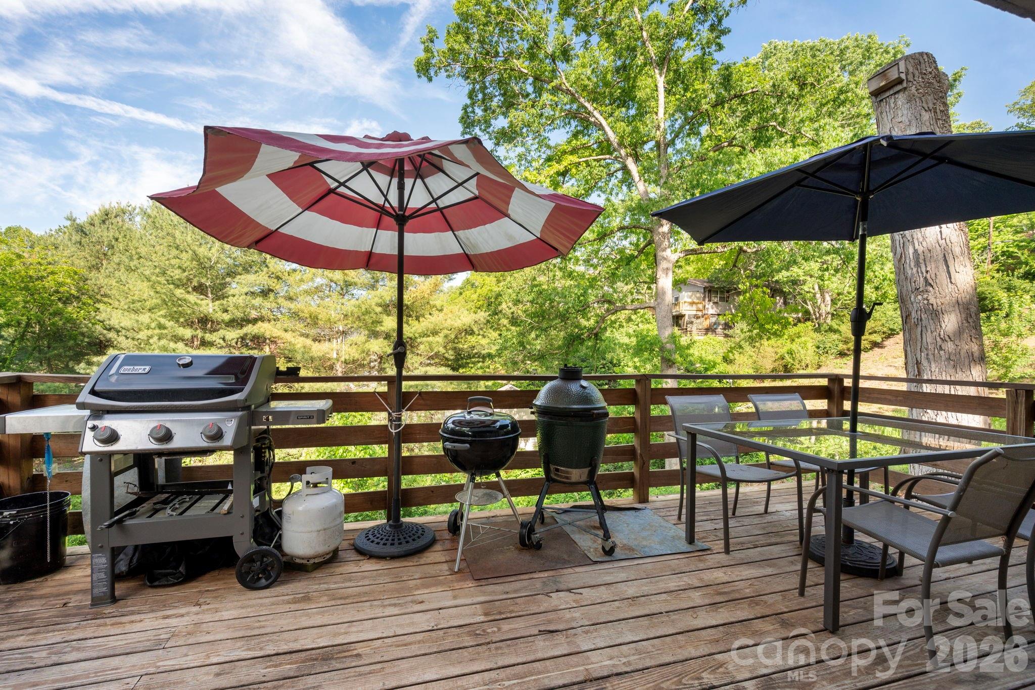 126 Maney Avenue — Asheville