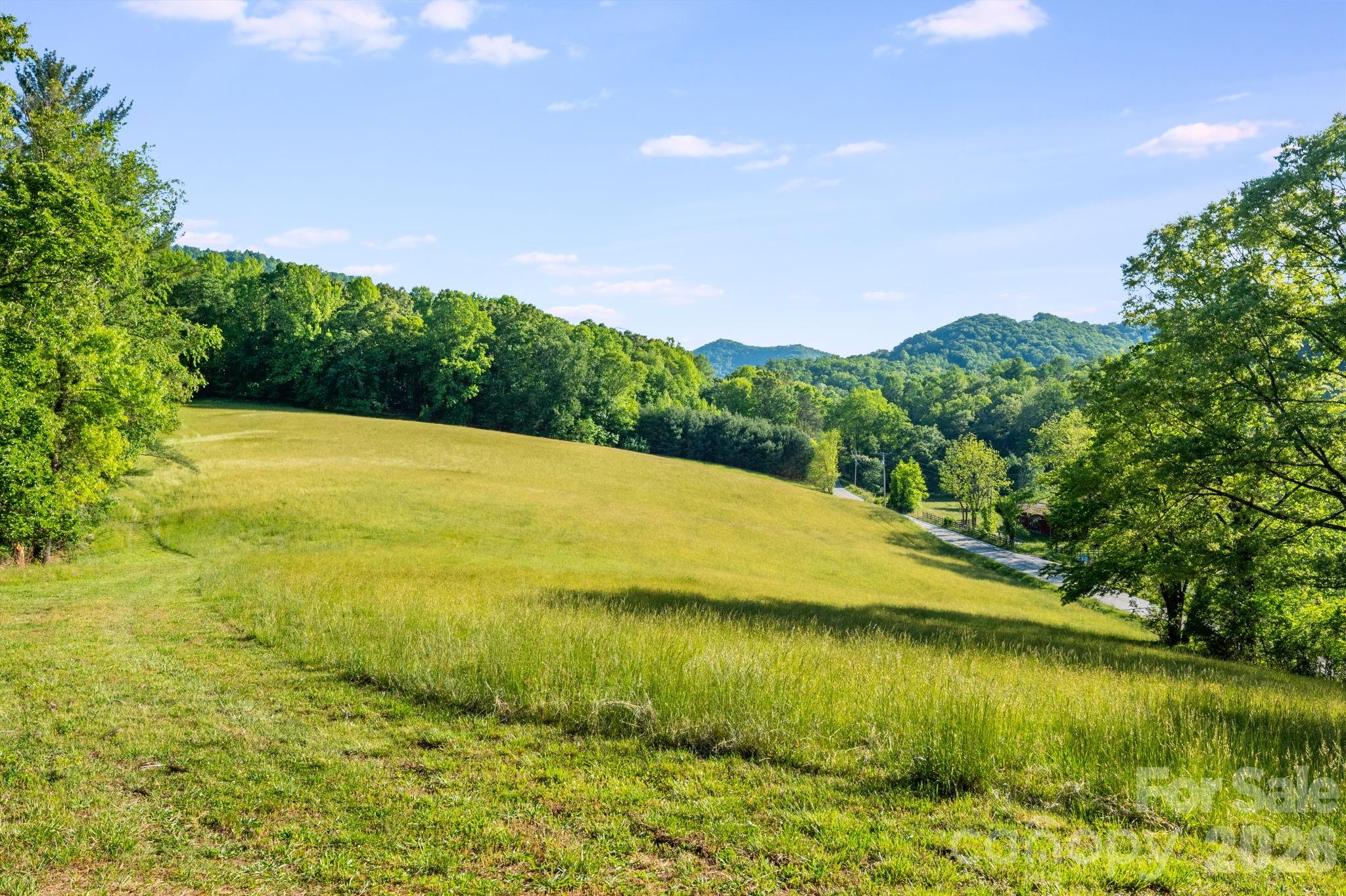 435 Upper Glady Fork Road — Candler
