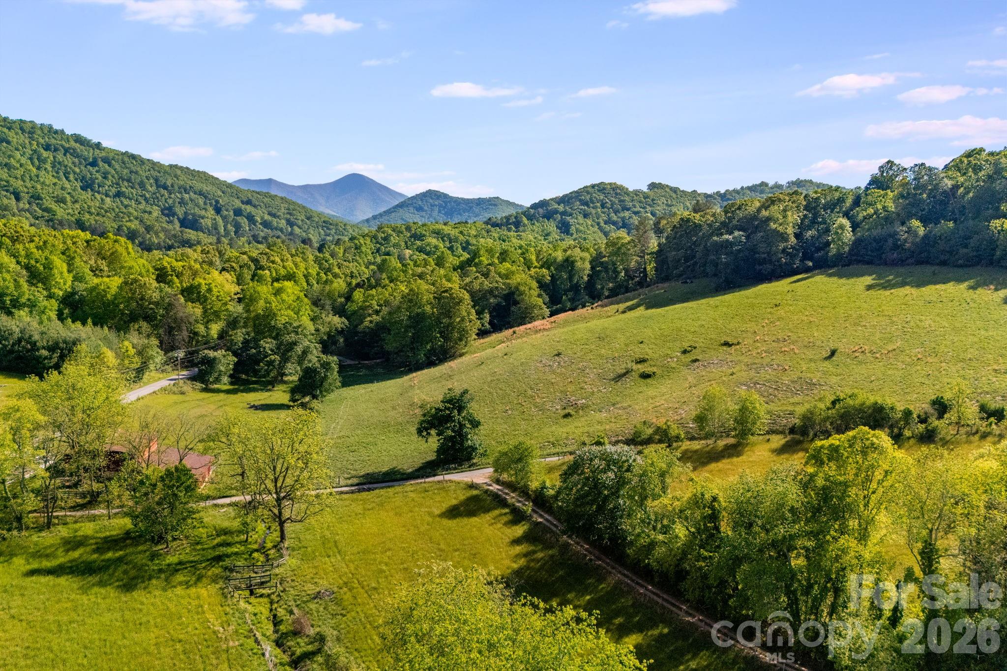 435 Upper Glady Fork Road — Candler