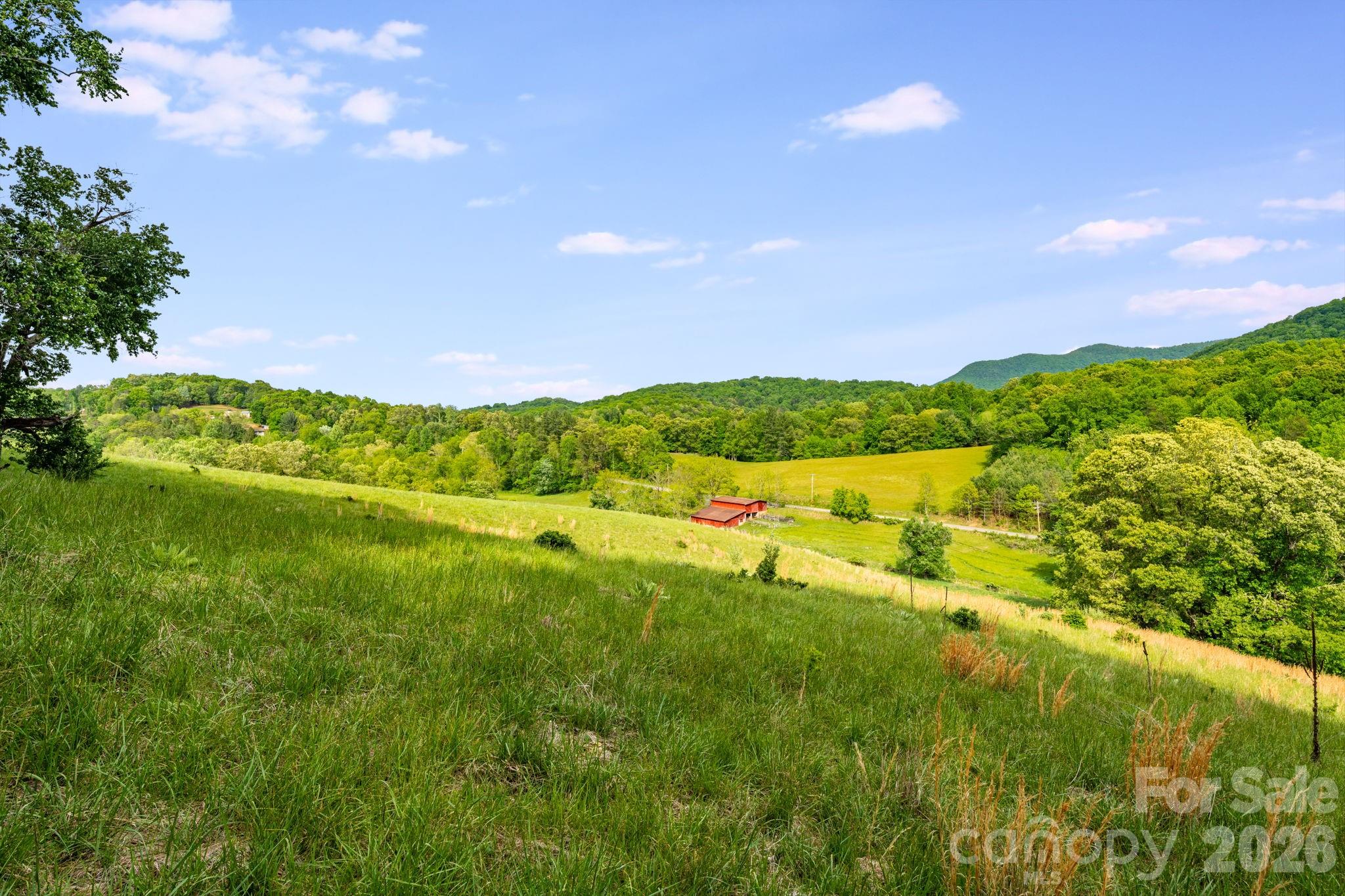 435 Upper Glady Fork Road — Candler