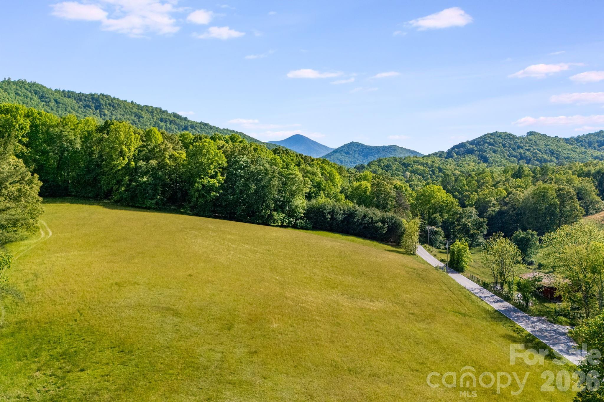 435 Upper Glady Fork Road — Candler