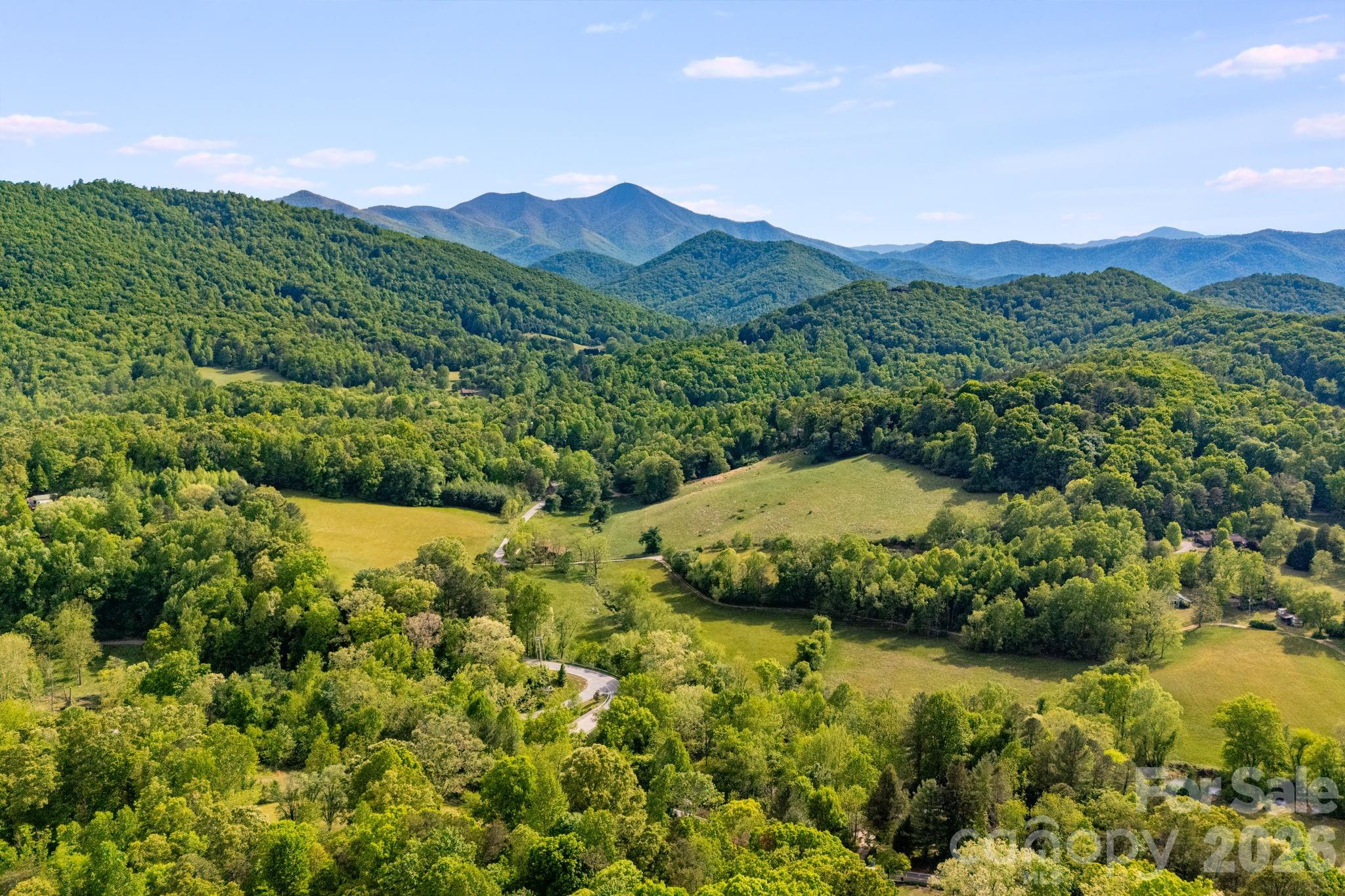 435 Upper Glady Fork Road — Candler