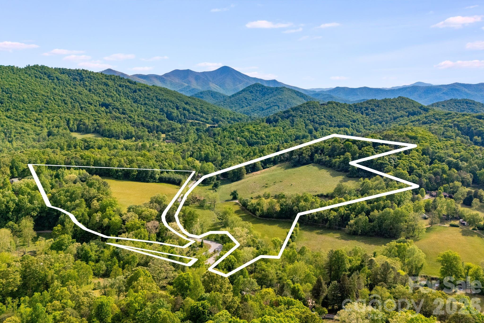 435 Upper Glady Fork Road — Candler