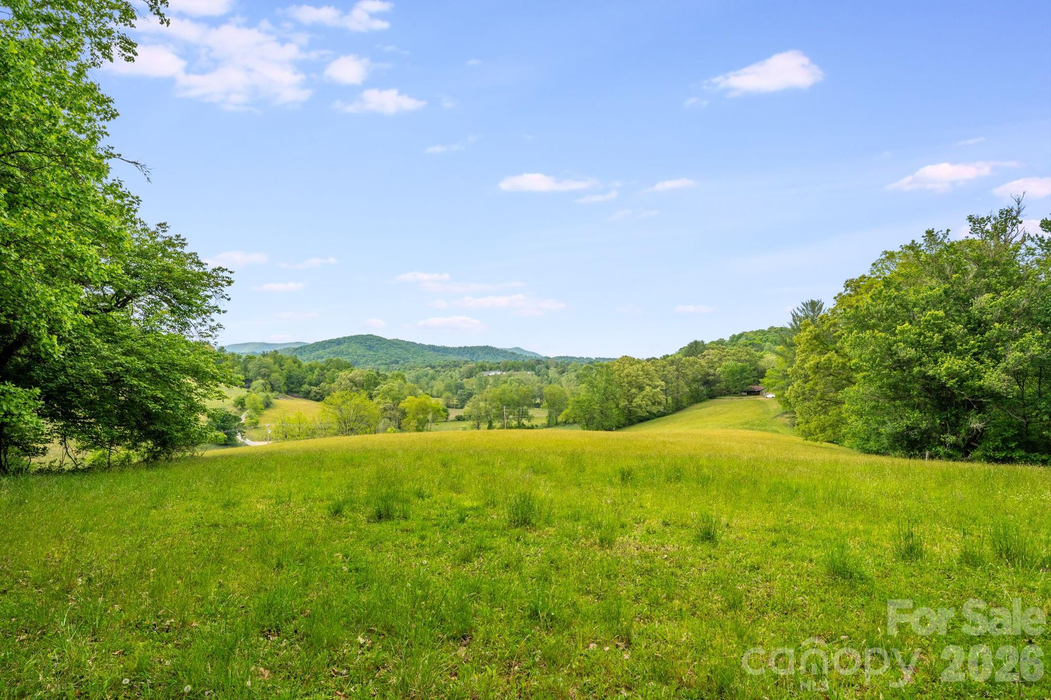 435 Upper Glady Fork Road — Candler
