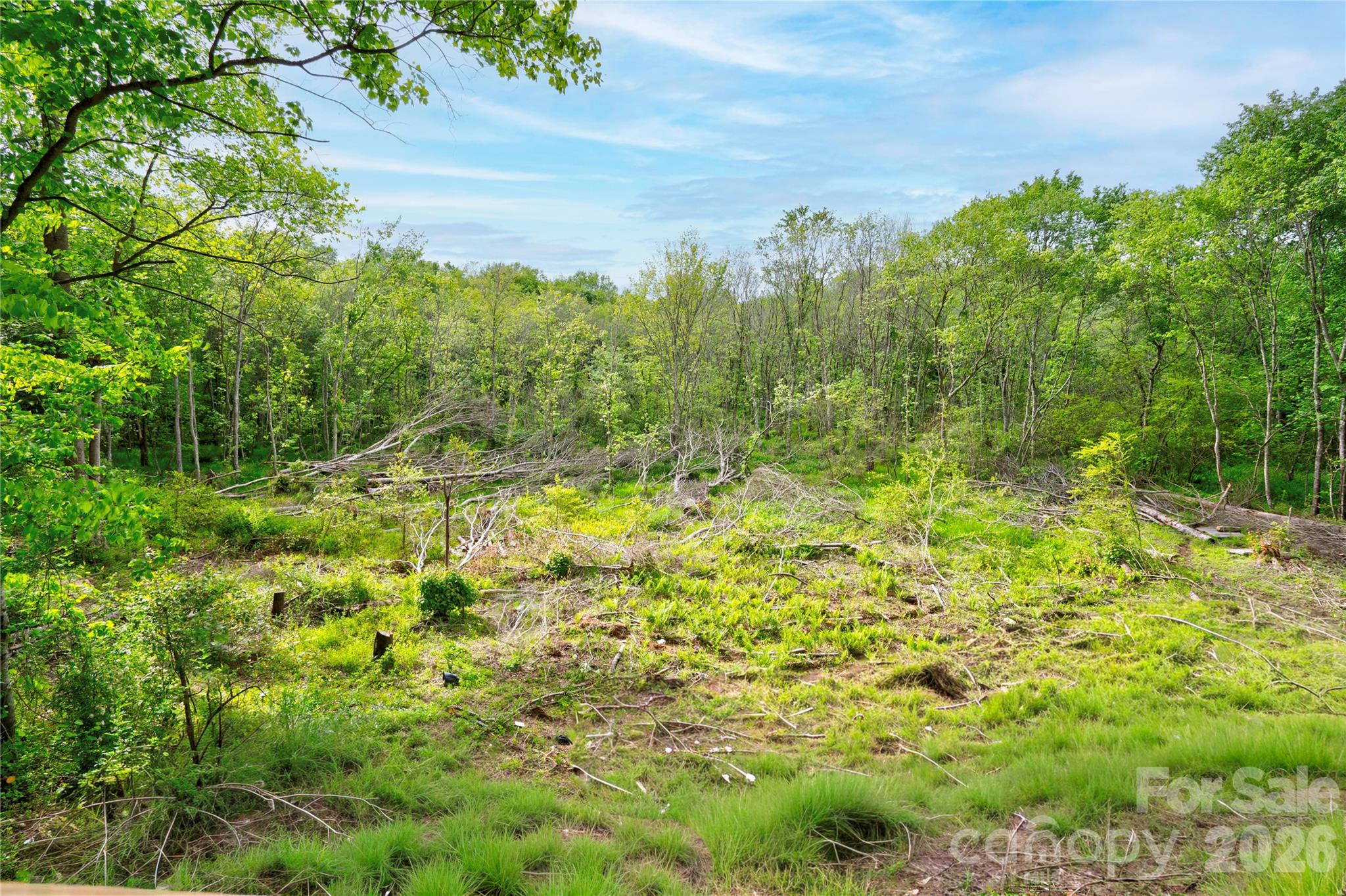 141 Knob Creek Drive — Lawndale