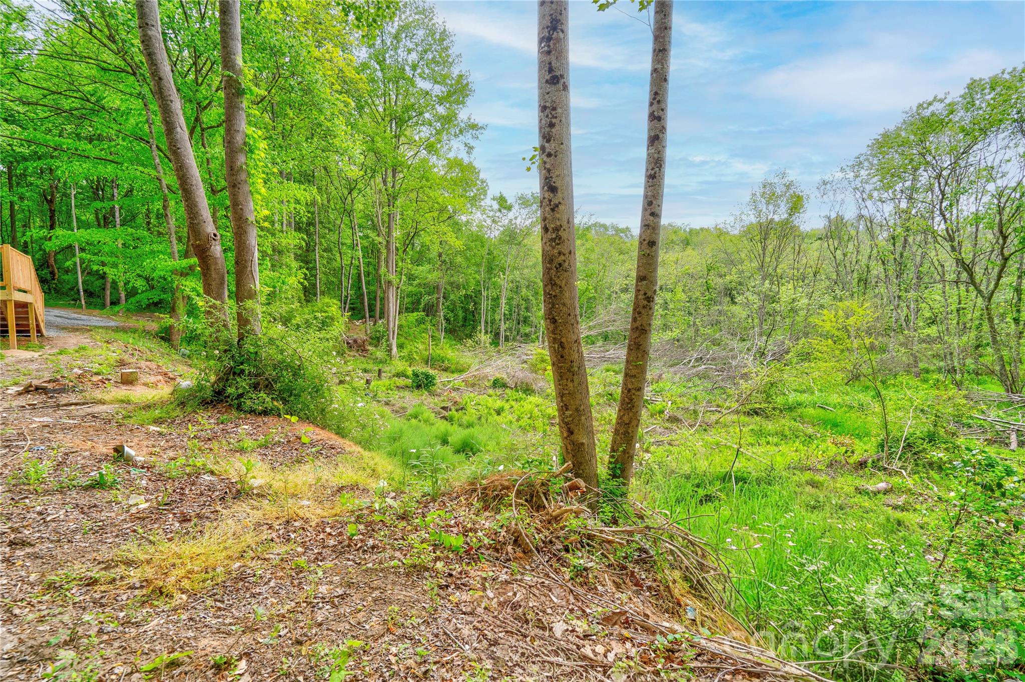141 Knob Creek Drive — Lawndale