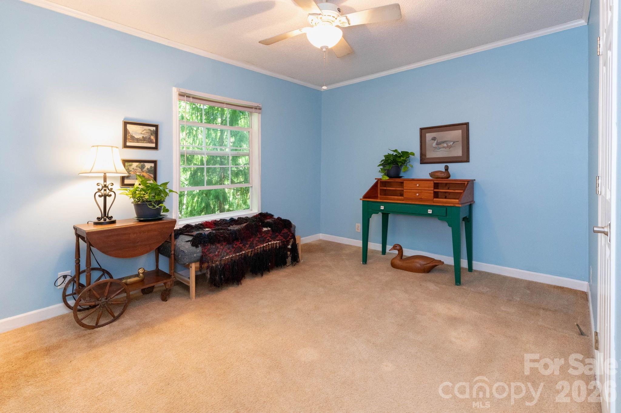 159 Marcellina Drive — Fairview