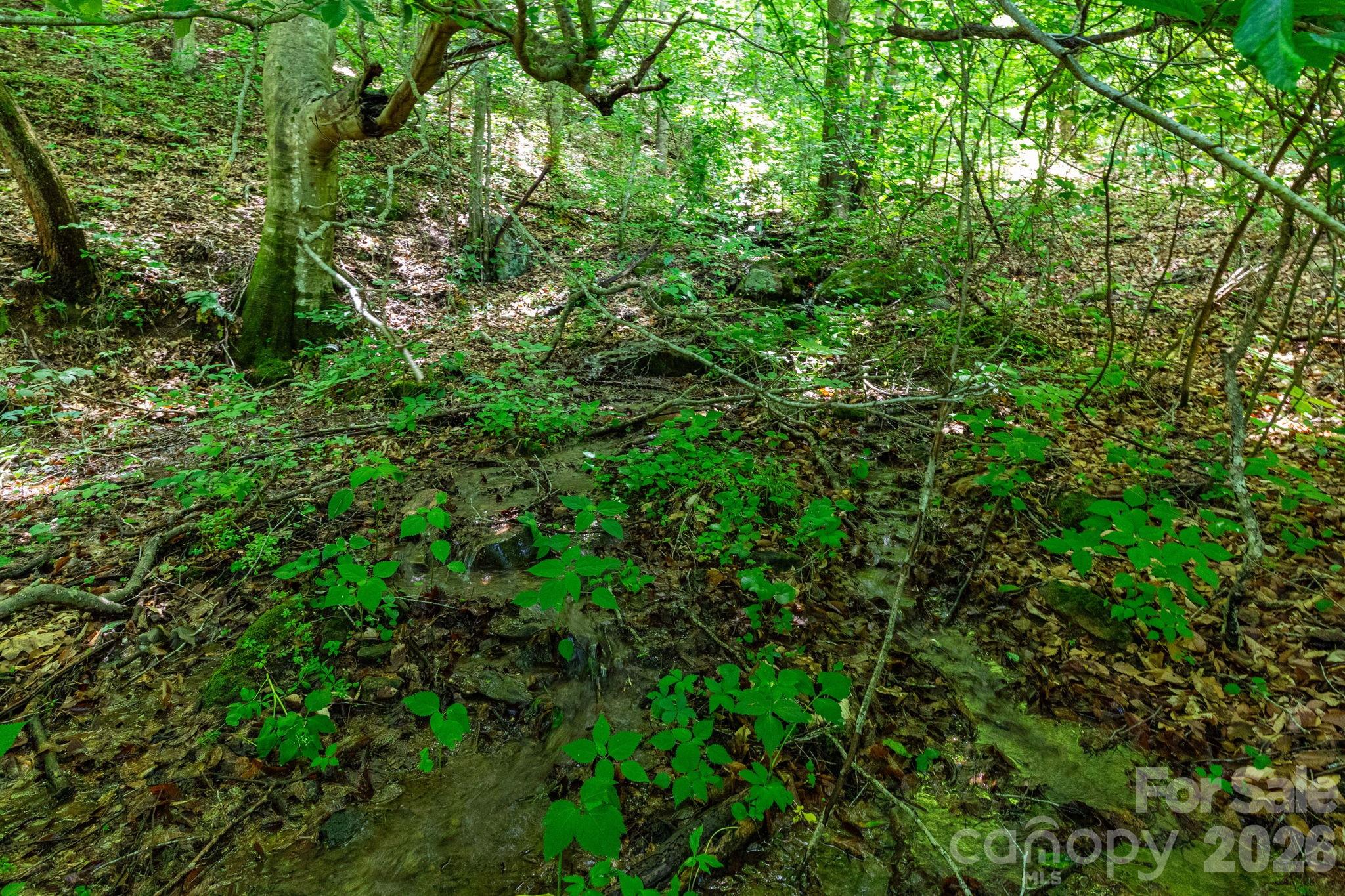 329 N Fork Road — Barnardsville
