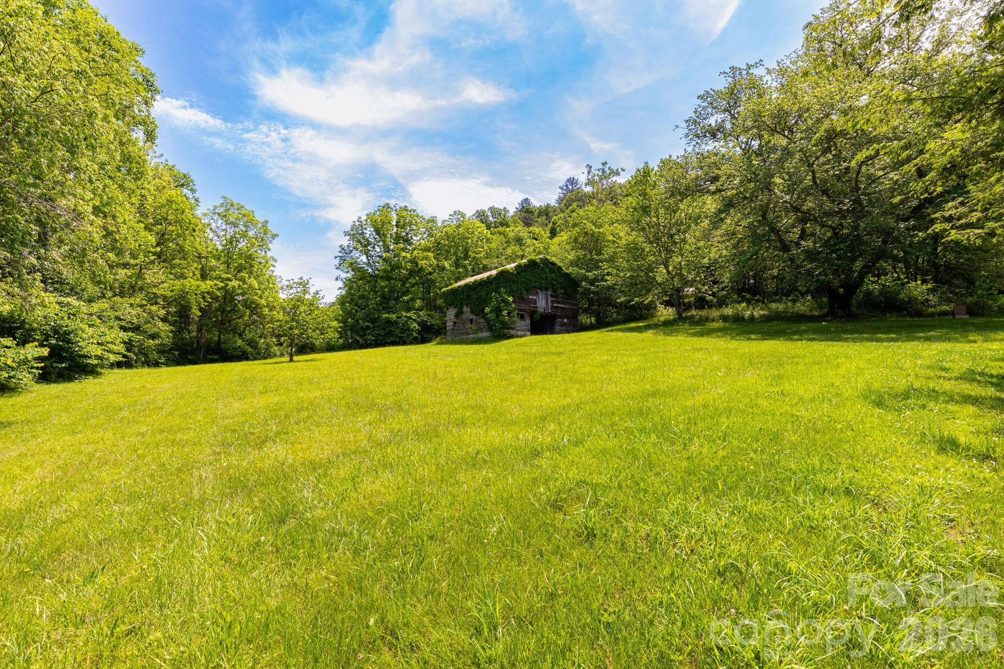 329 N Fork Road — Barnardsville