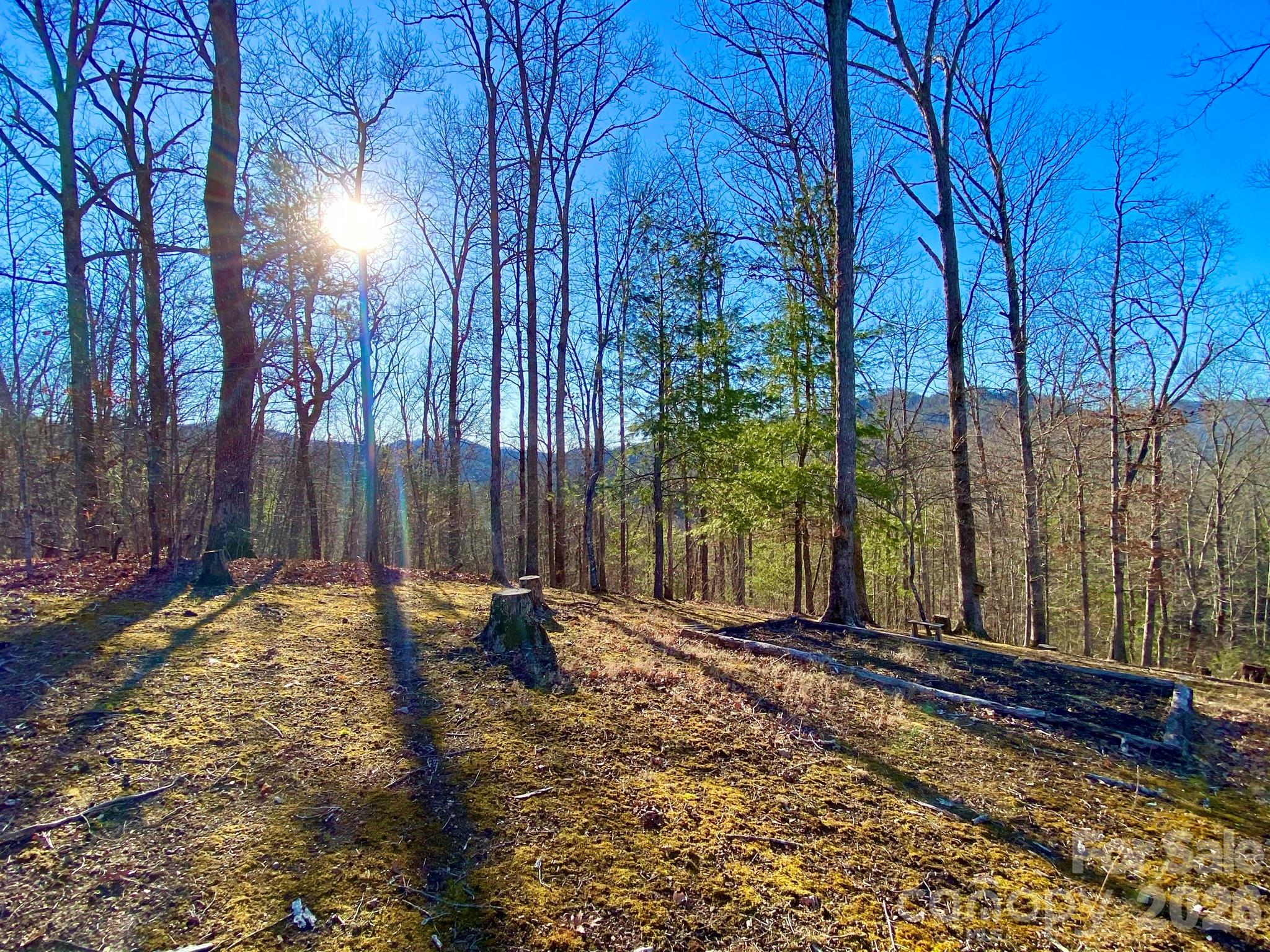 288 Rebel Drive — Hot Springs