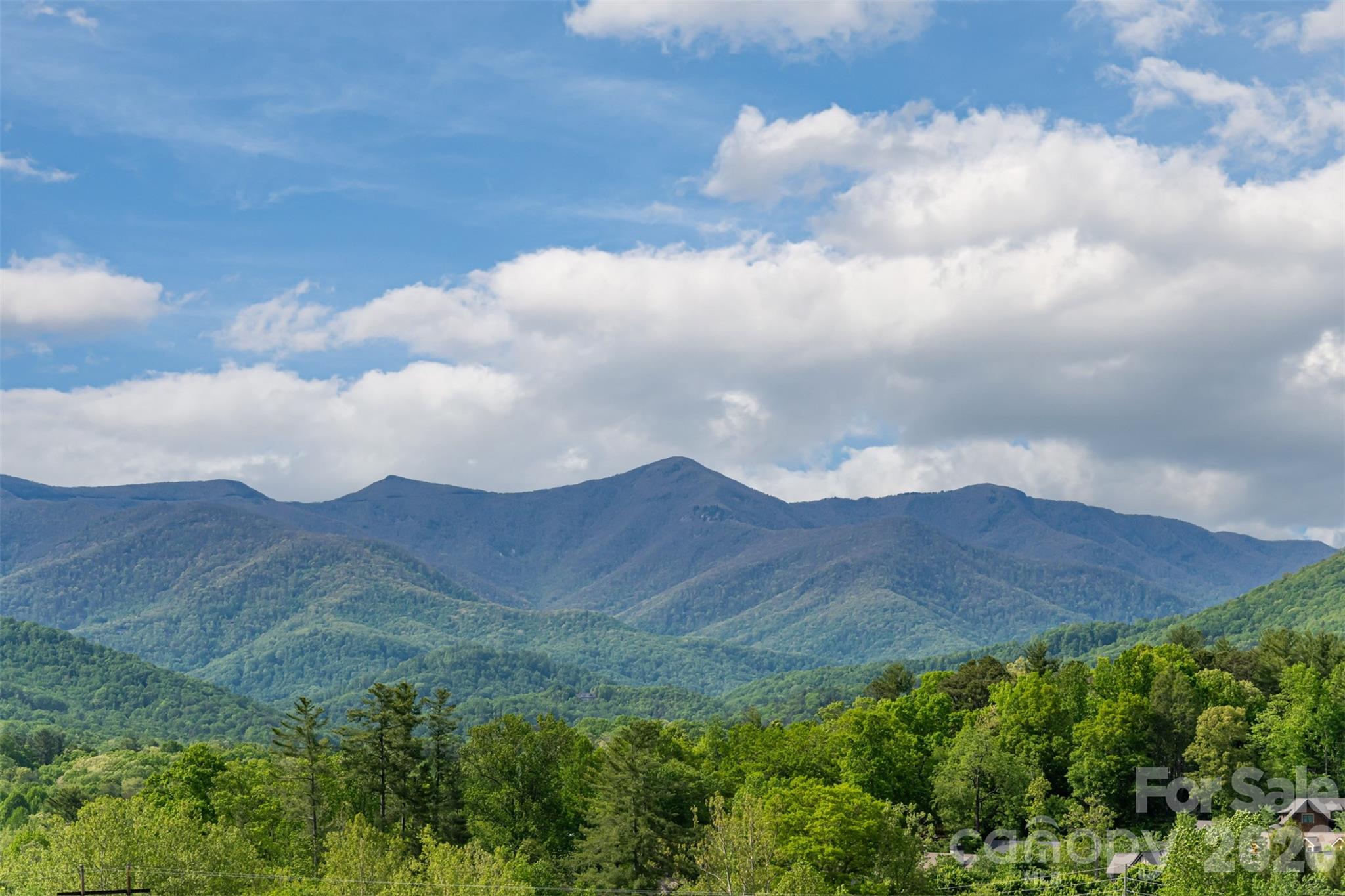 25 Rantis Lane — Black Mountain
