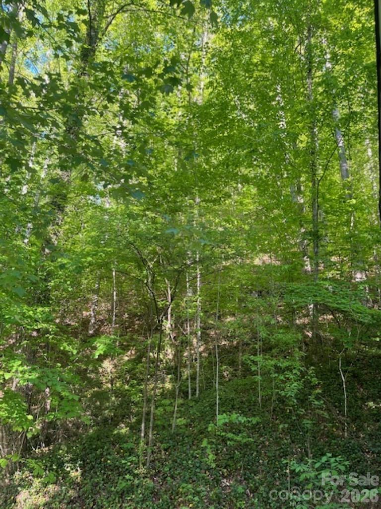 50 E Wabash Drive — Sylva