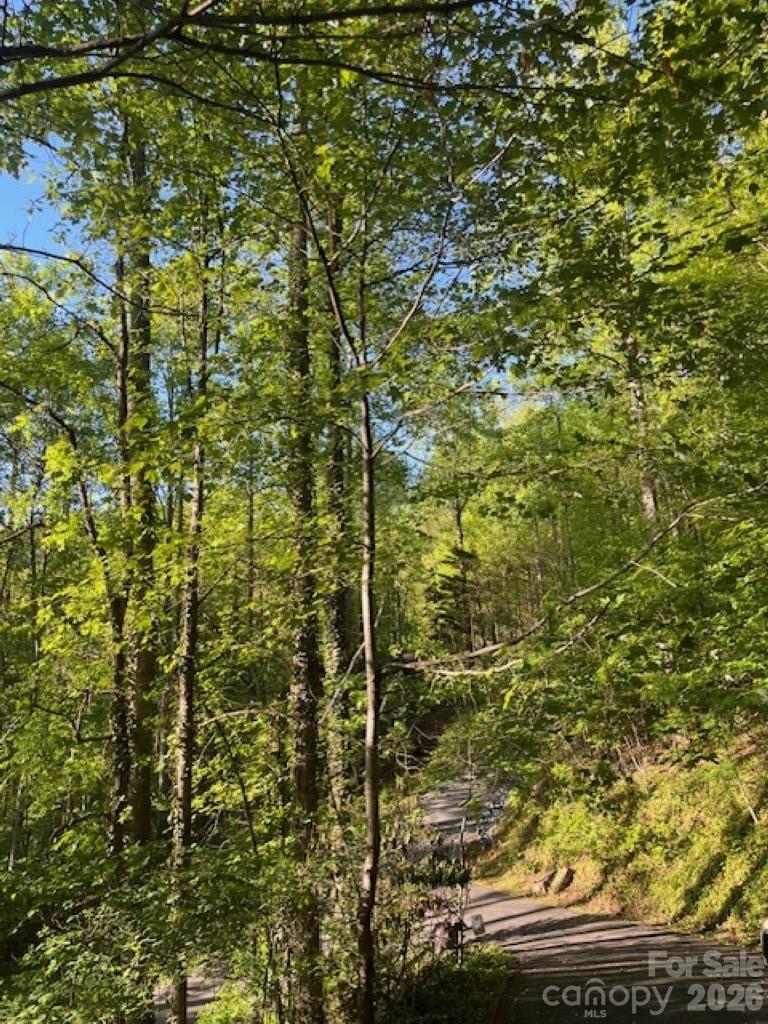 50 E Wabash Drive — Sylva