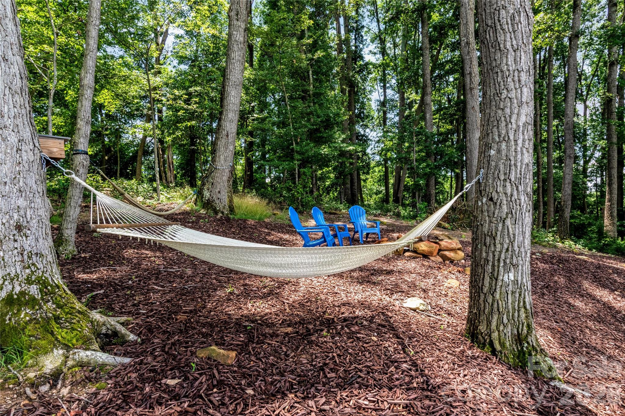 2320 Swan Creek Road — Jonesville