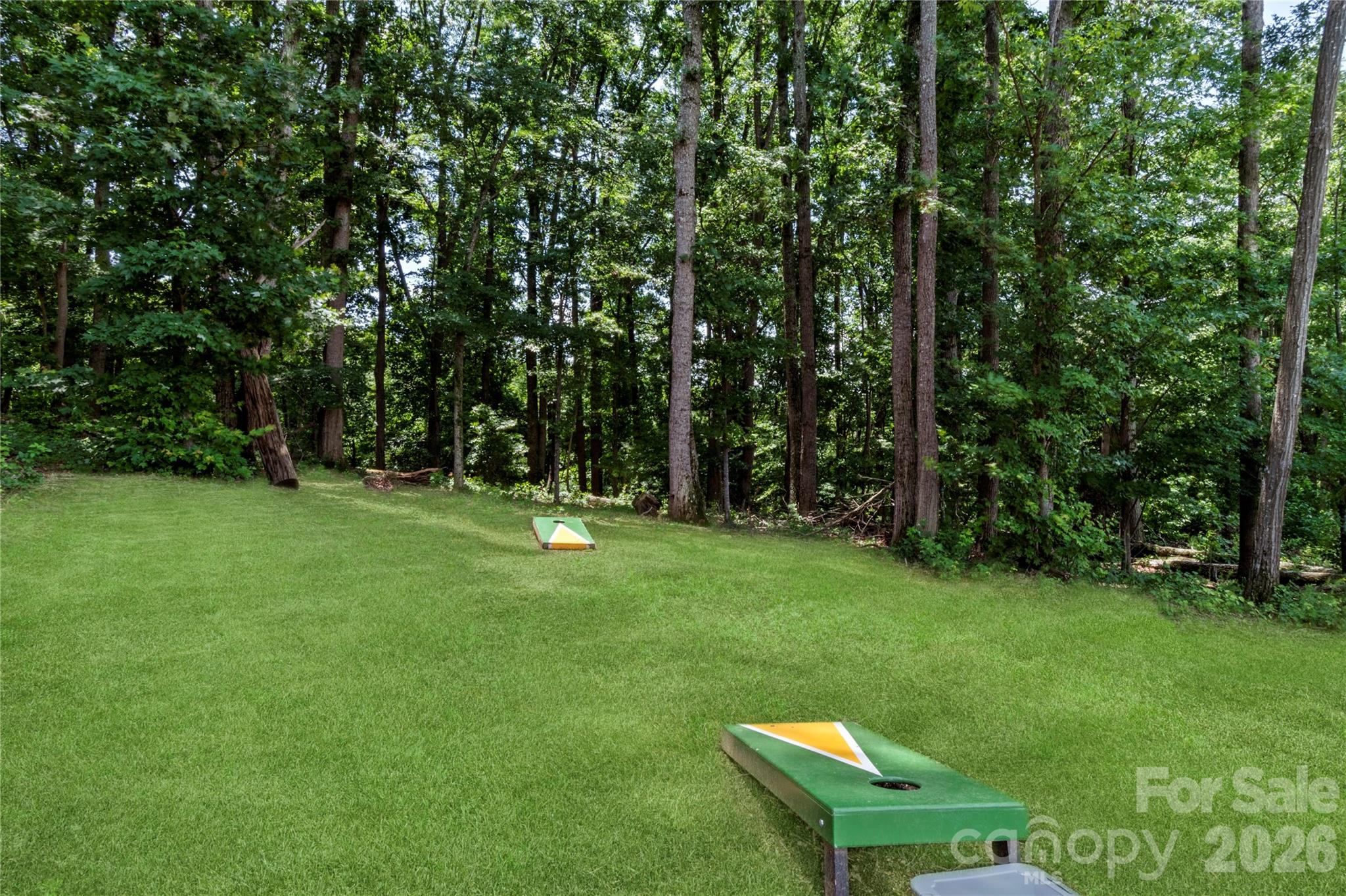 2320 Swan Creek Road — Jonesville