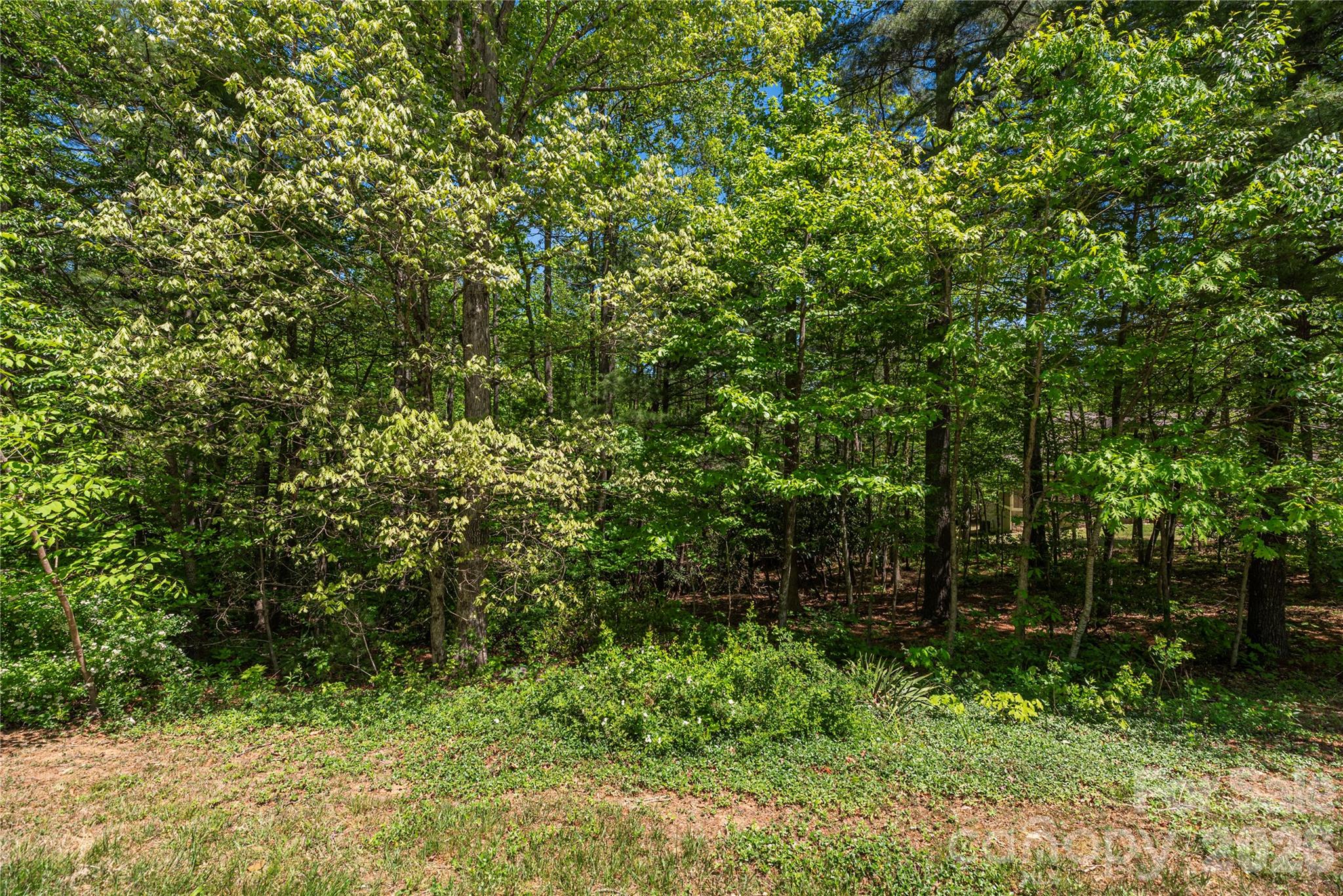 305 & 349 Freedom Trail Court — Zirconia