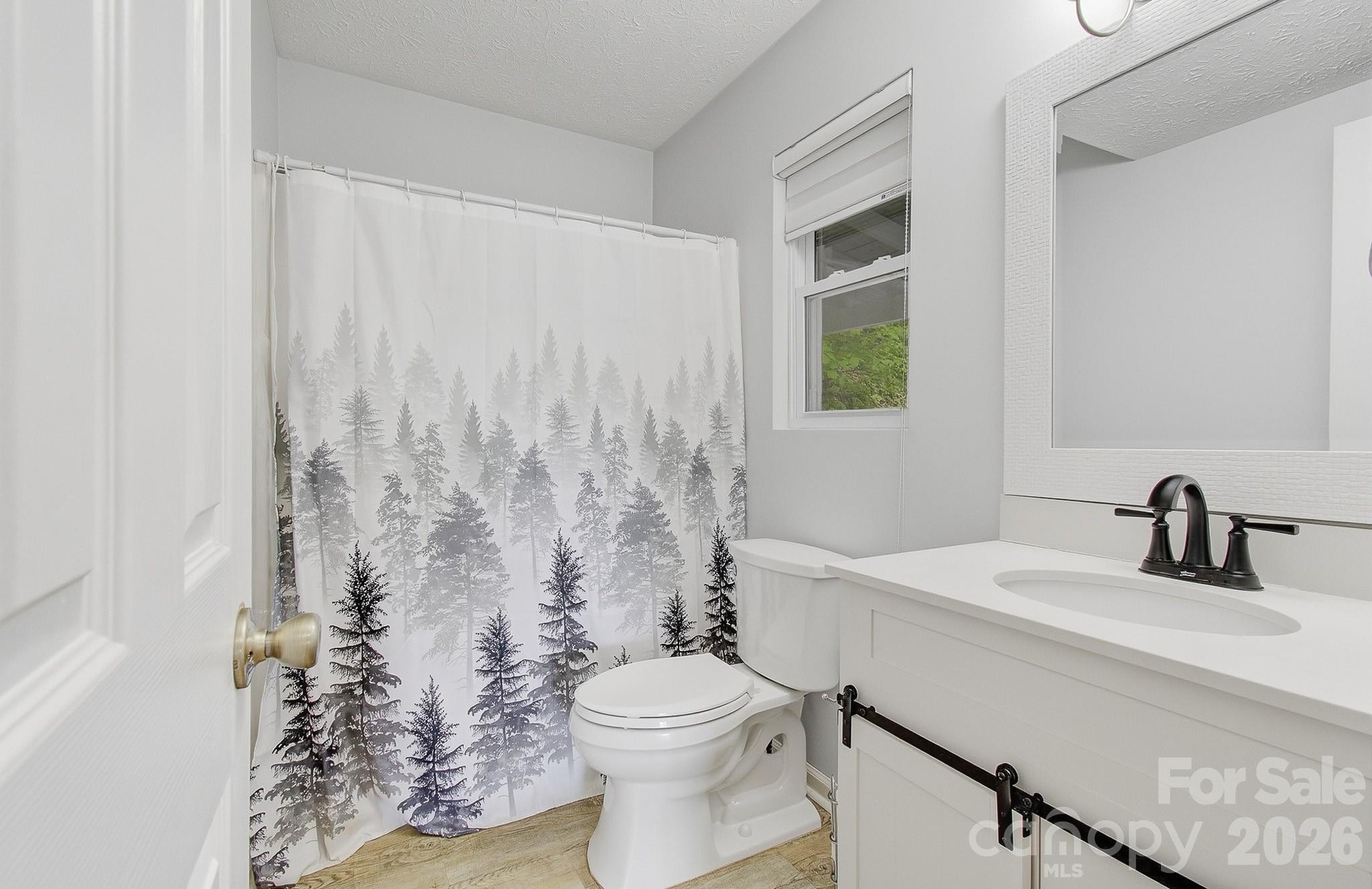 2131 Coleman Mountain Road — Waynesville