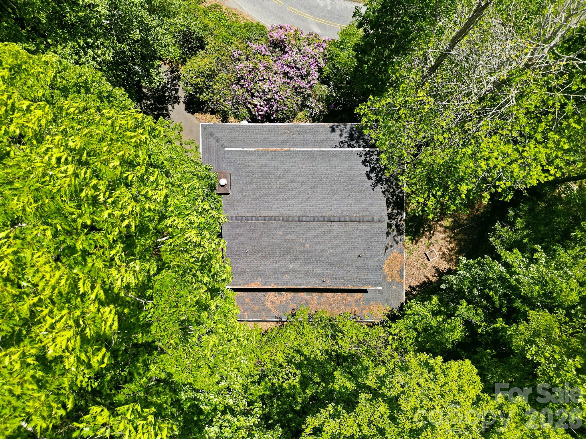 2131 Coleman Mountain Road — Waynesville