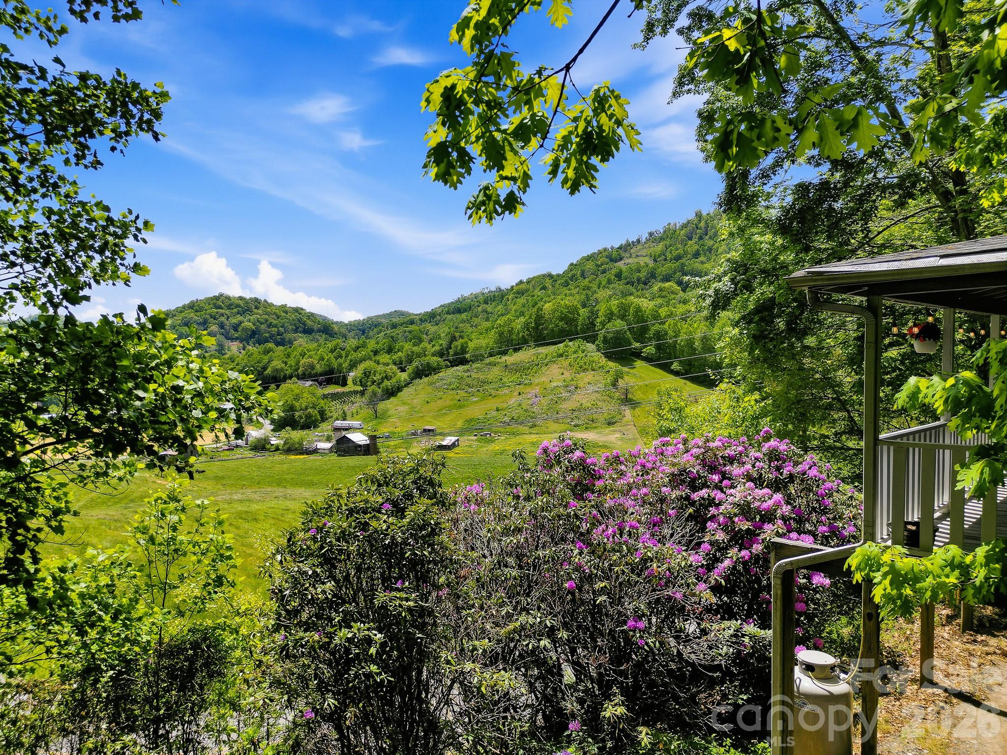 2131 Coleman Mountain Road — Waynesville