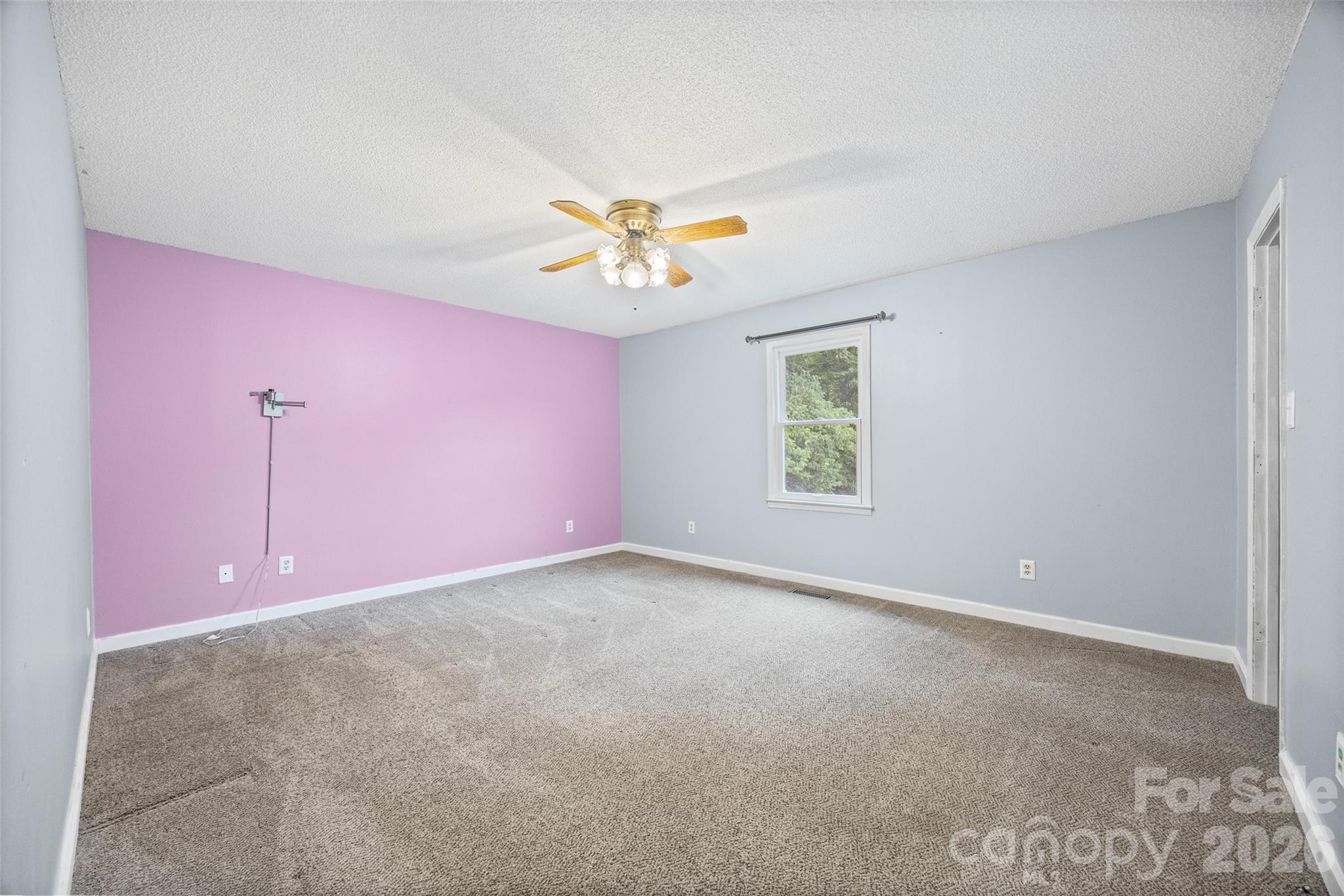 161 Shadow Lakes Drive — Clover