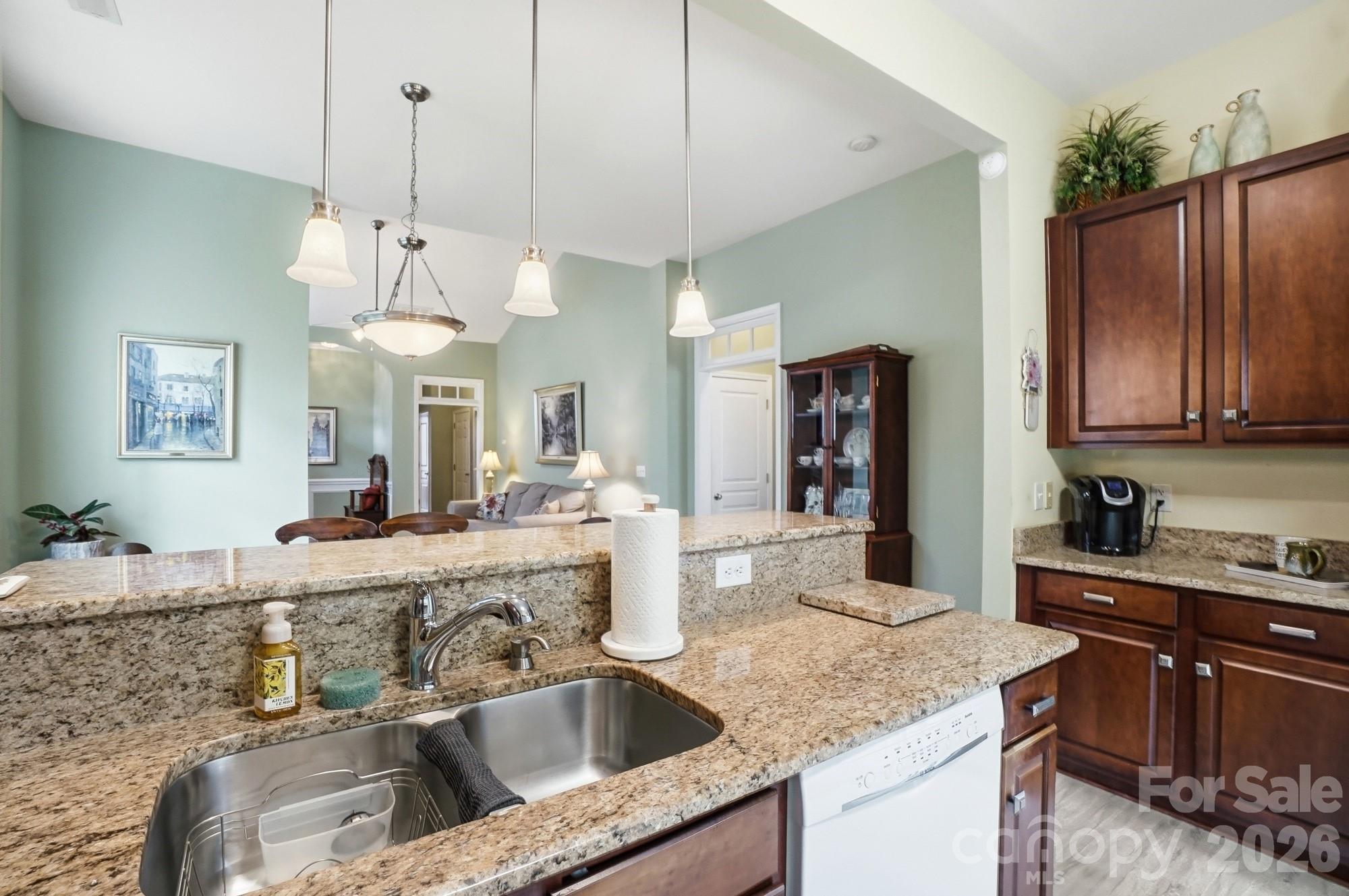6120 Pale Moss Lane — Charlotte