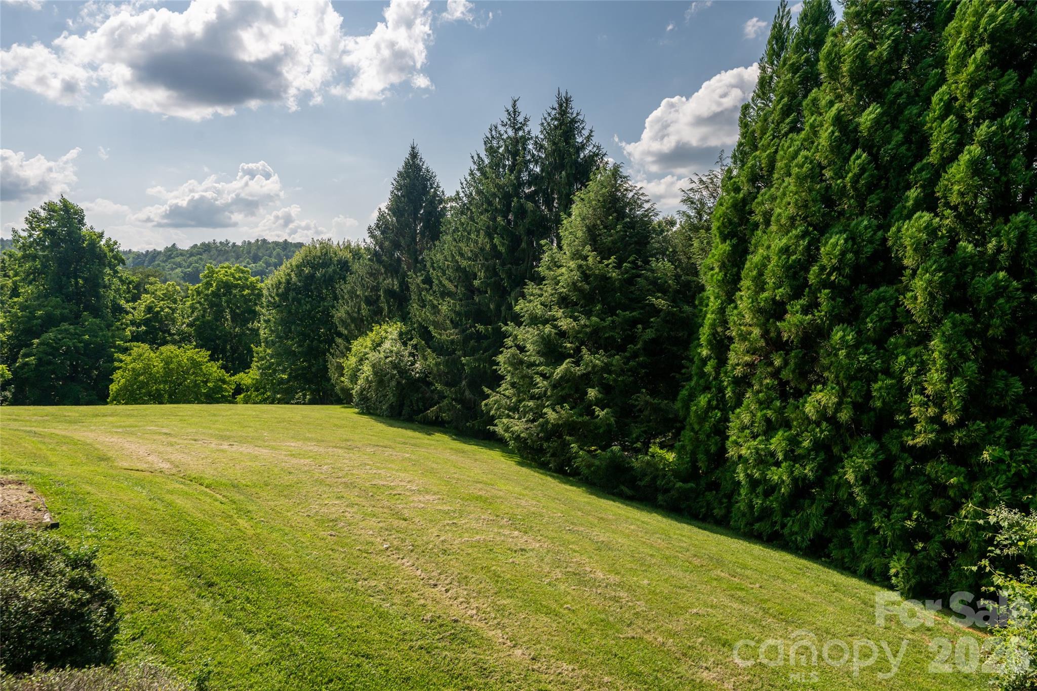 33 Bridle Path Drive — Barnardsville