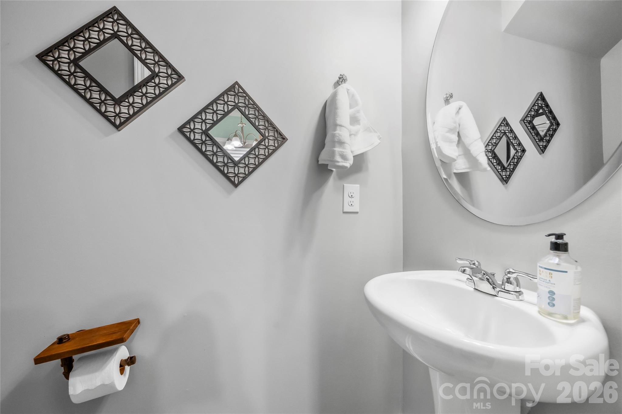 1530 Starmount Cove Lane — Charlotte