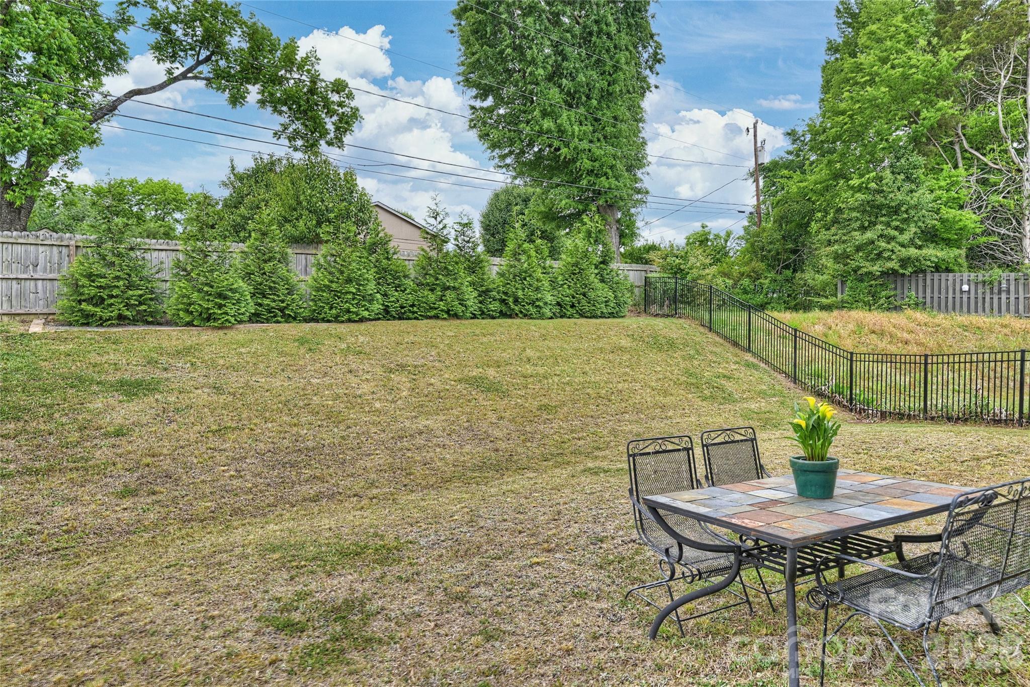 1530 Starmount Cove Lane — Charlotte