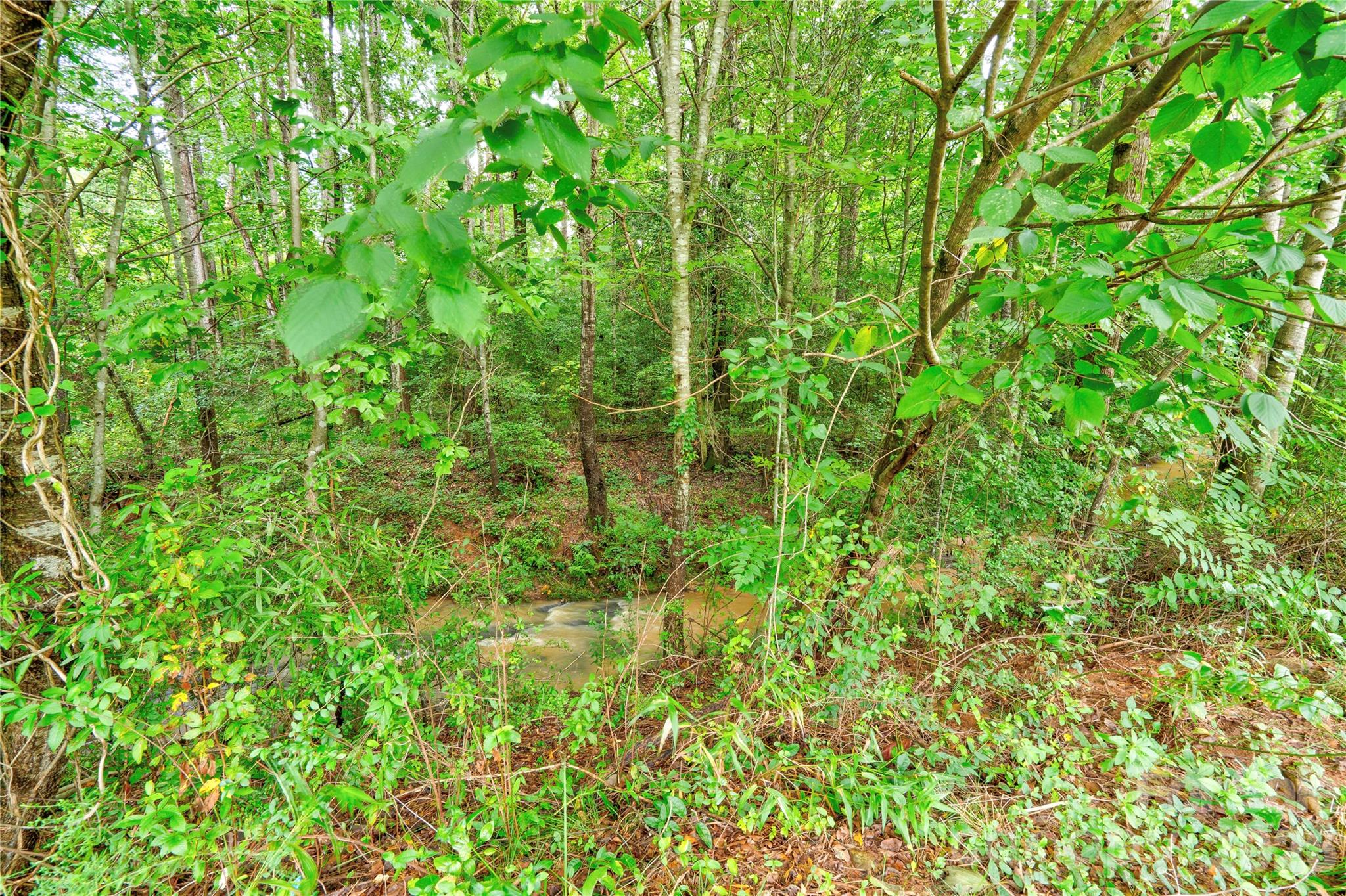 136 Foxhill Drive — Shelby