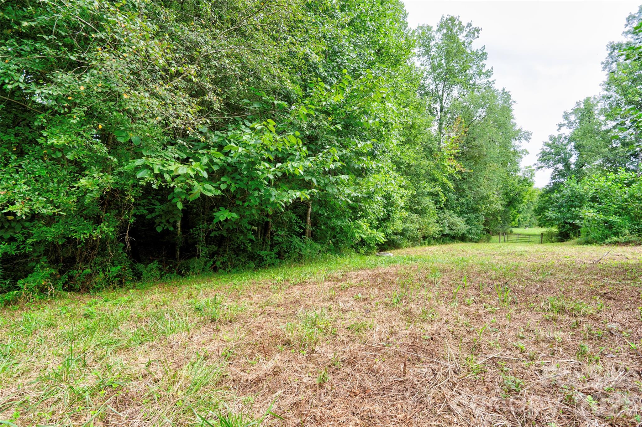 136 Foxhill Drive — Shelby