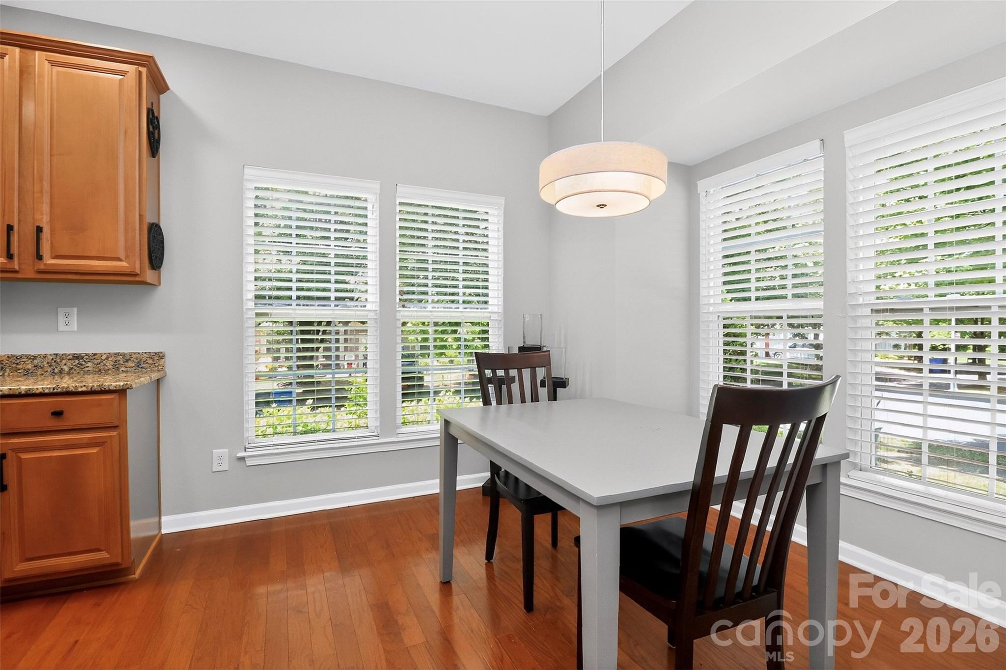 173 N Arcadian Way — Mooresville