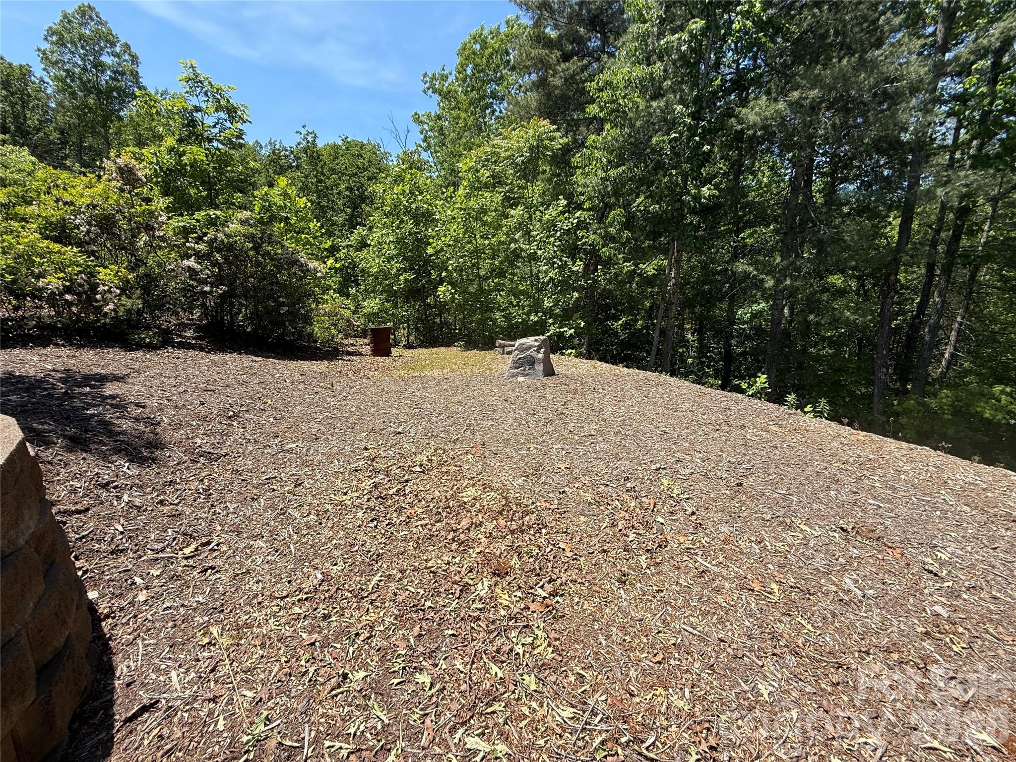 96 Boysenberry Drive — Nebo