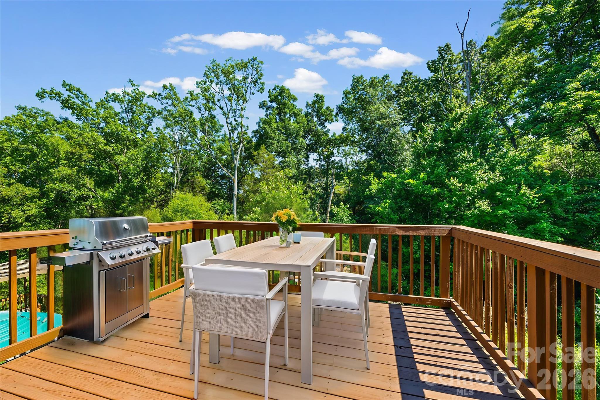 1008 Dorsey Drive — Fort Mill