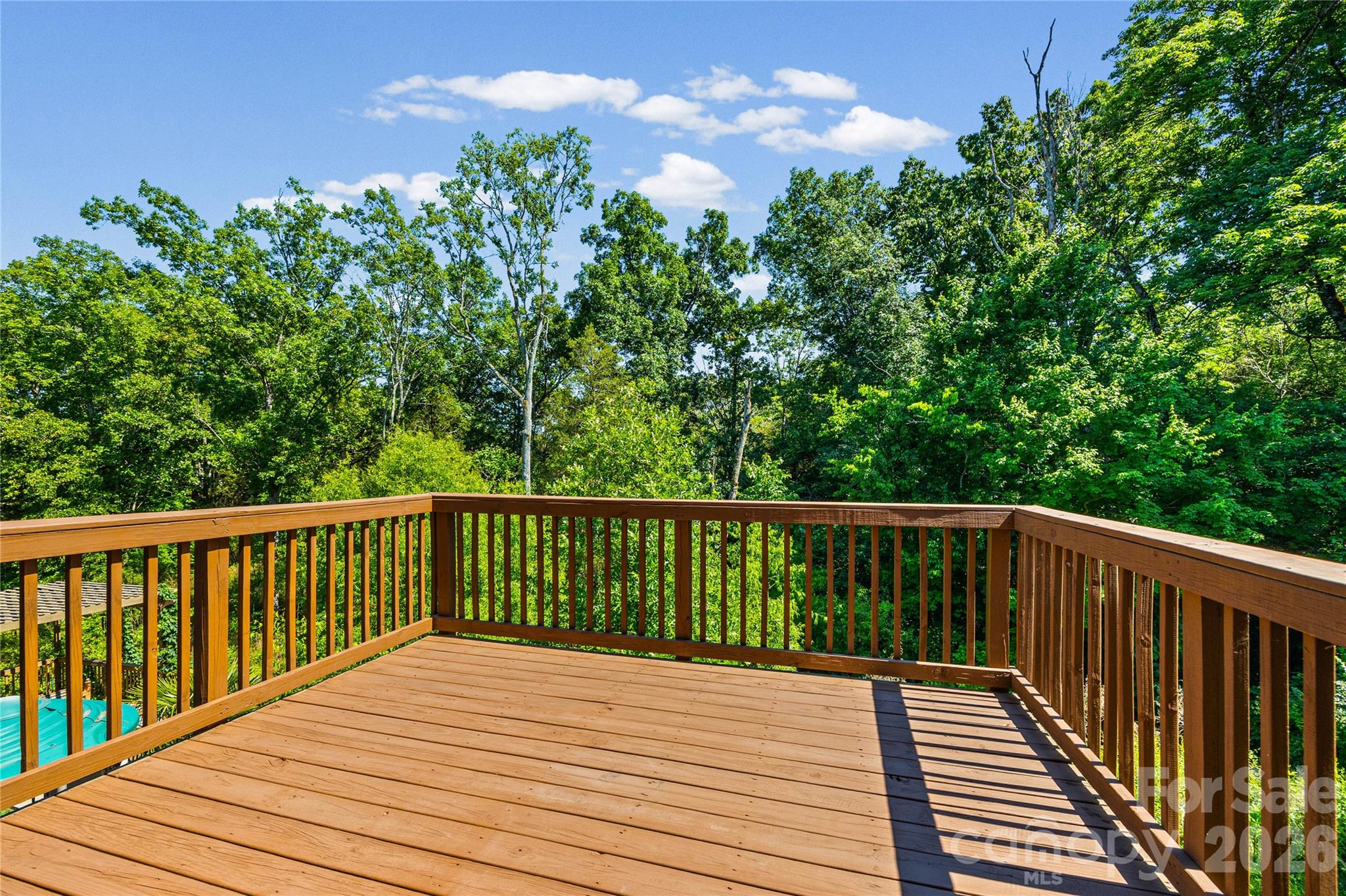 1008 Dorsey Drive — Fort Mill